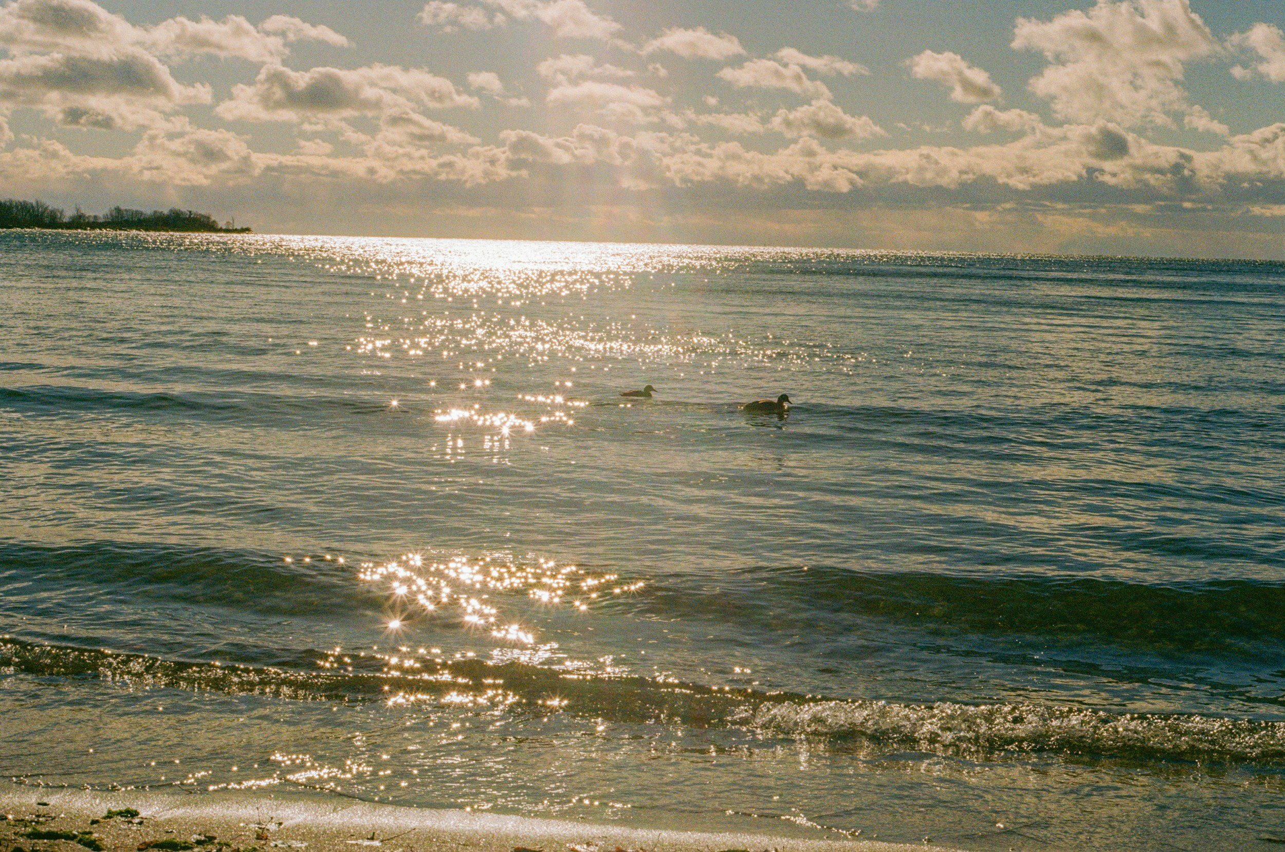 luxury beach swimwear structured supportive swimsuit for women