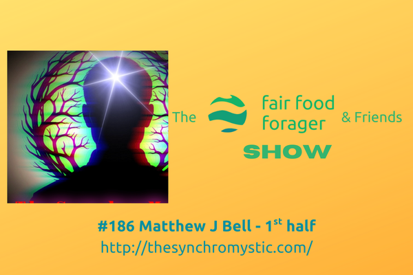 #186 Matthew J Bell - SynchroMysticism, sophisticated occult ritual or chance &amp; how to explain it
