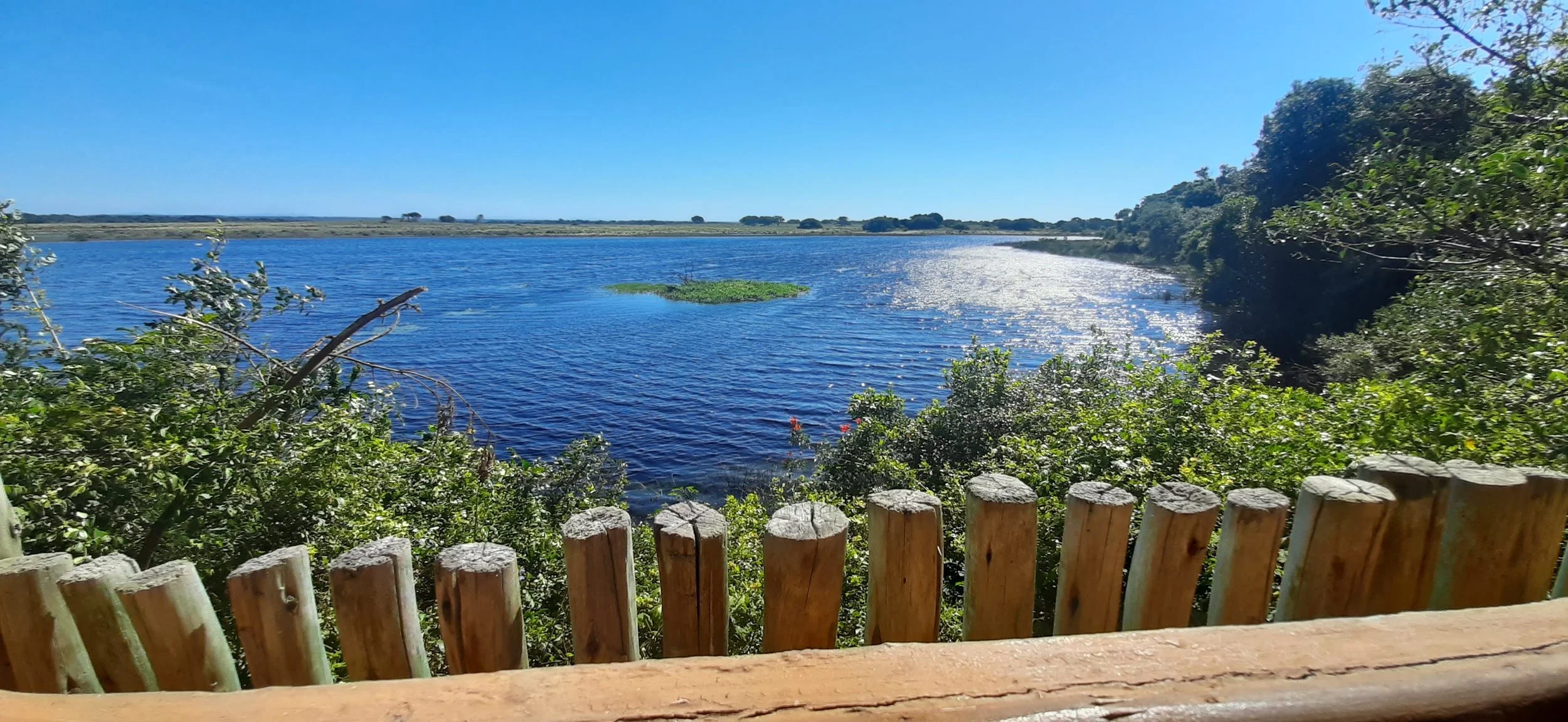 A scenic view of a calm river with blue water, surrounded by lush green vegetation on both sides under a clear blue sky.