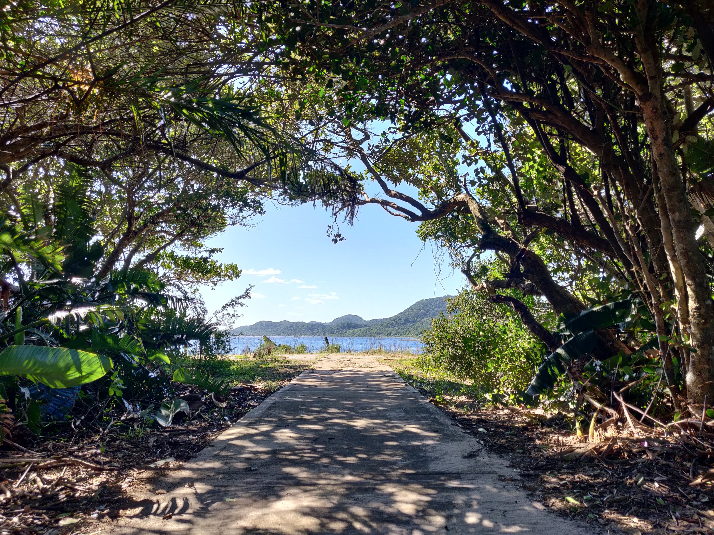 A dirt path leading to a beach, viewed through a natural archway of trees and foliage, with mountains and water in the background on a sunny day.