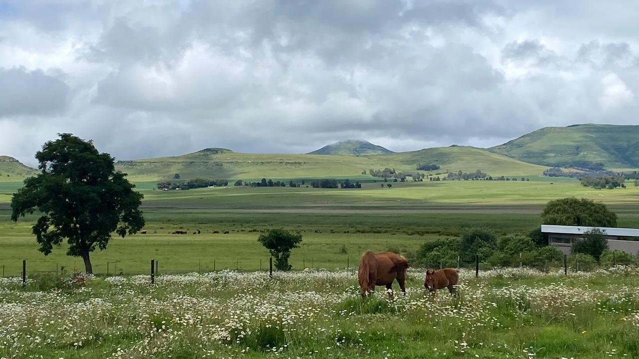 A pastoral landscape with green rolling hills under a cloudy sky, two horses grazing near a fence, a few trees, and a building on the right.