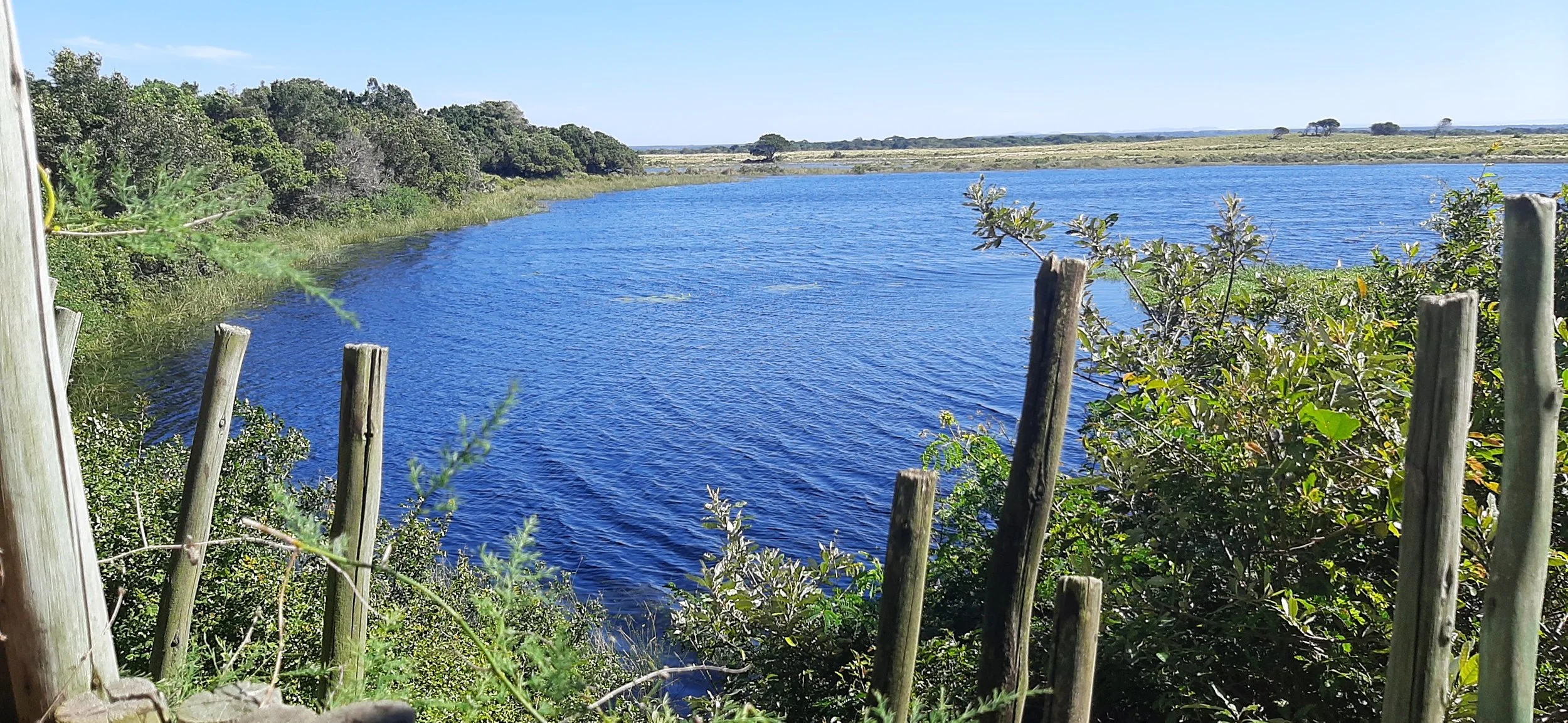 A peaceful scene of a blue river winding through a lush green landscape with trees and bushes along the banks, under a clear blue sky.
