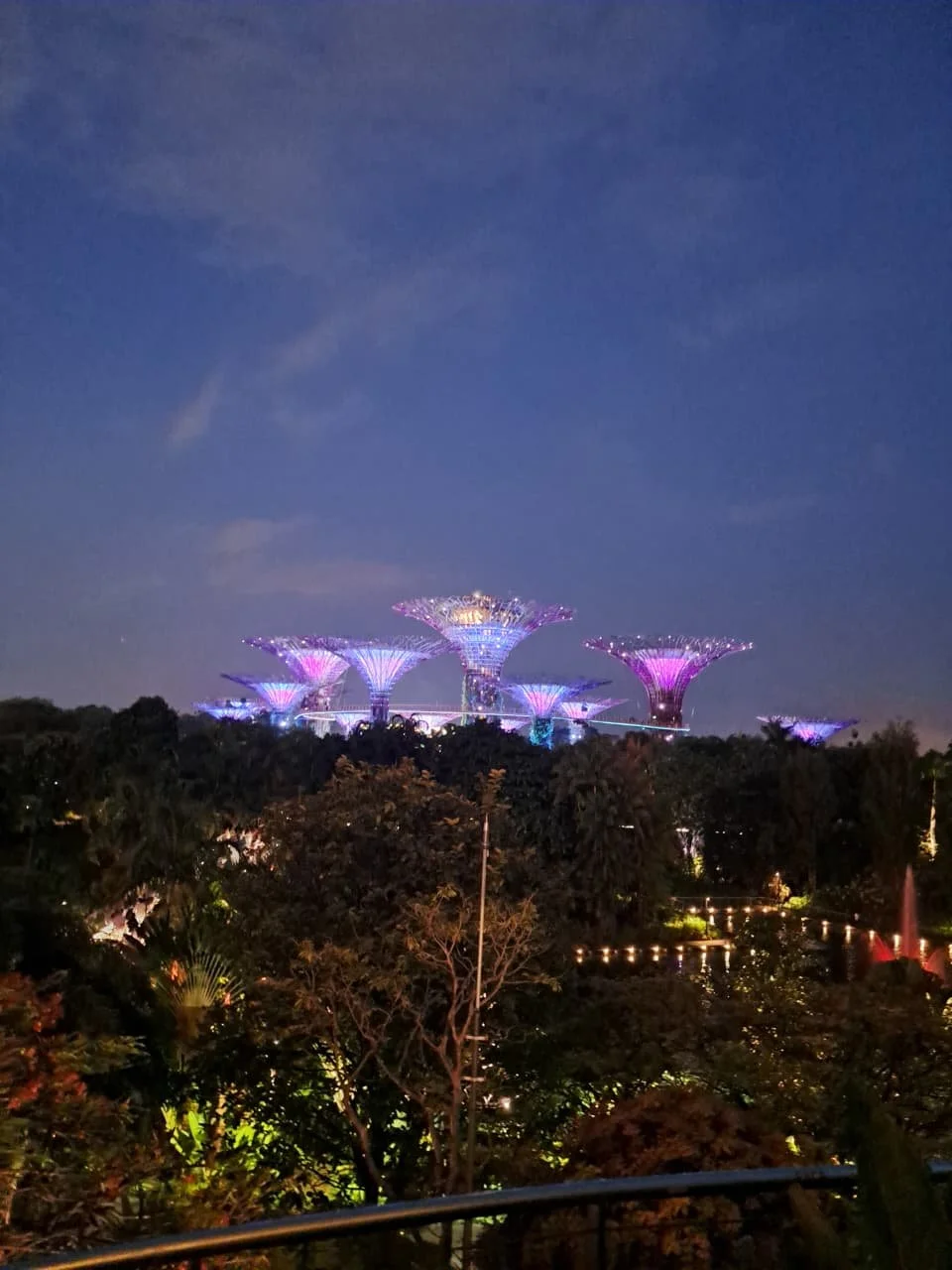 Nighttime view of the Supertree Grove at Gardens by the Bay, Singapore, illuminated with purple and pink lights, with lush greenery and pathway lights in the foreground.