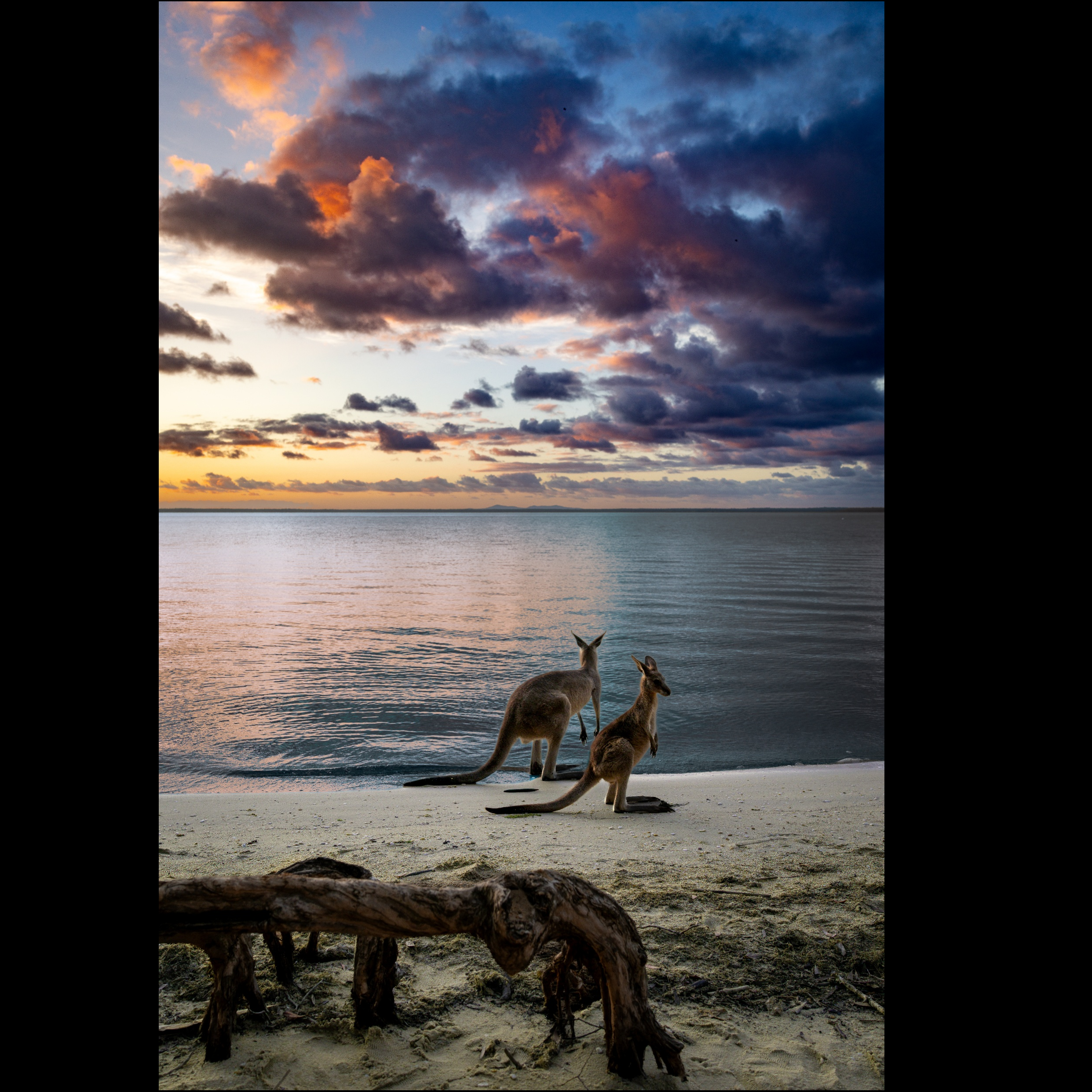 Sunrise with the Locals