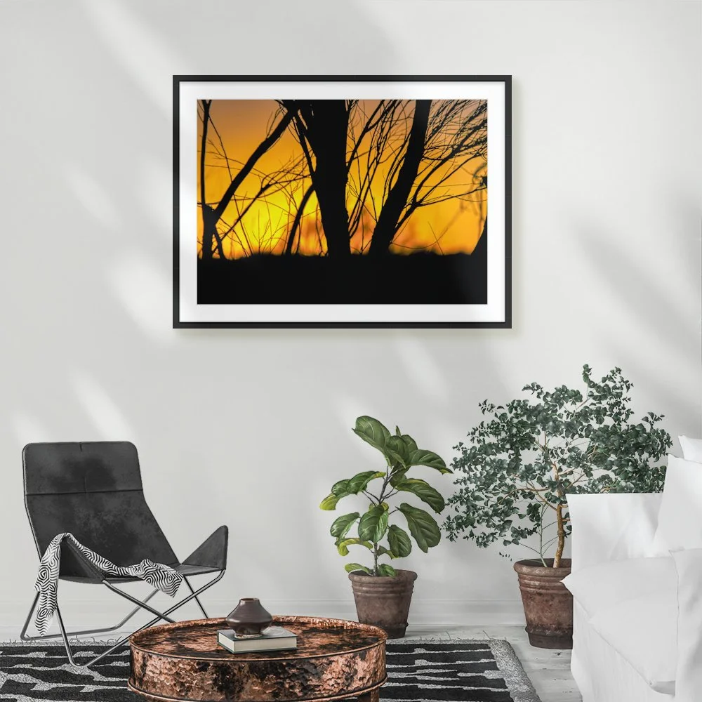 Queensland Afterglow ARTROOM4.jpg