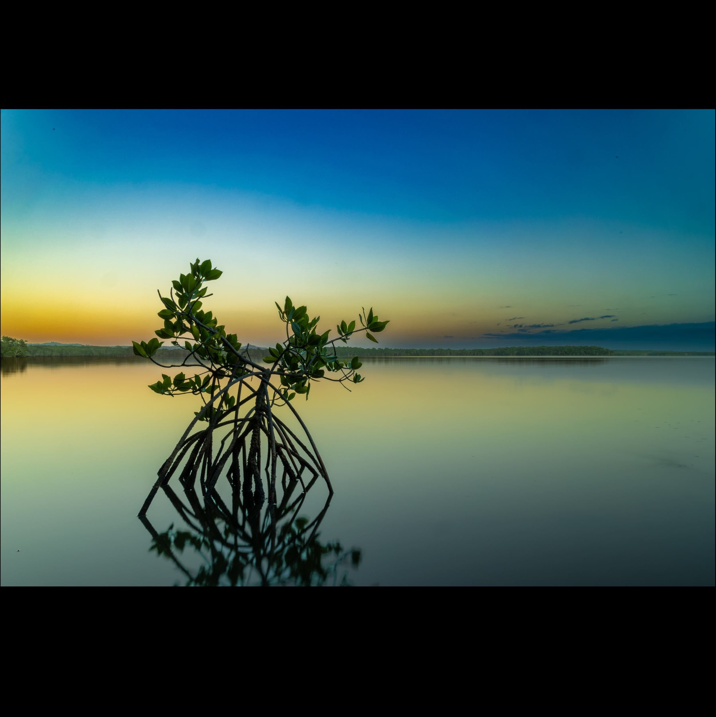 Weyba Stillness at Sundown