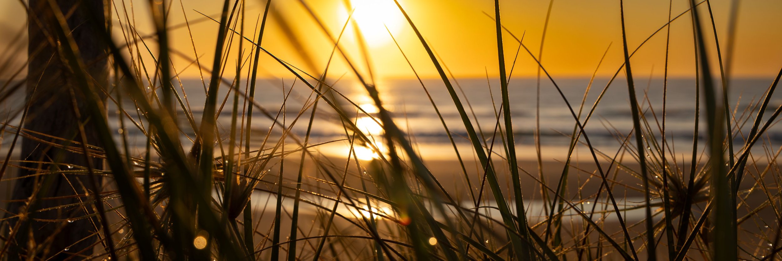 Sunrise in the Dunes  SMALL.jpg