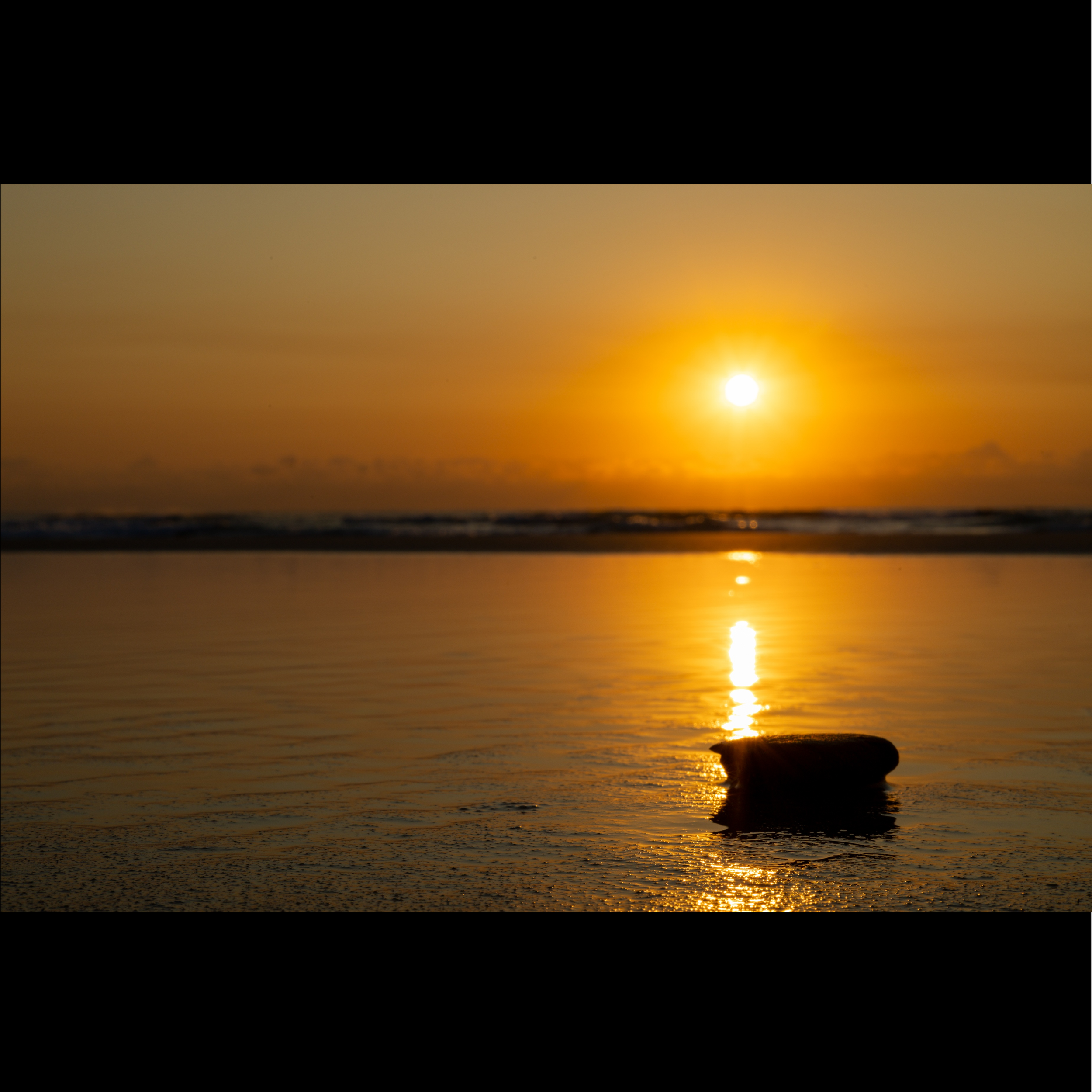 Dawn Mirror on the Sand SQUARE.png