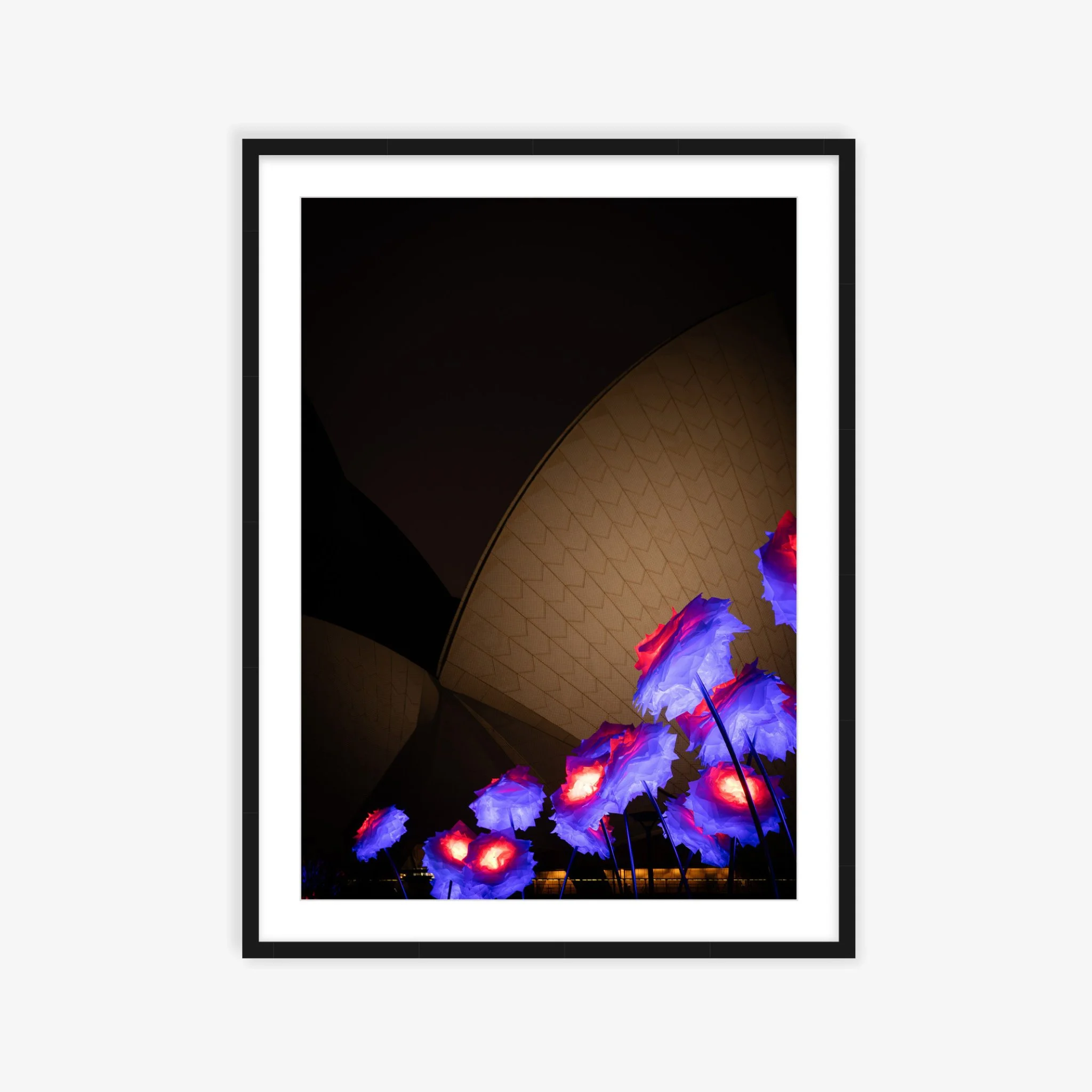 Bloom Beneath the Sails ARTROOM.jpg