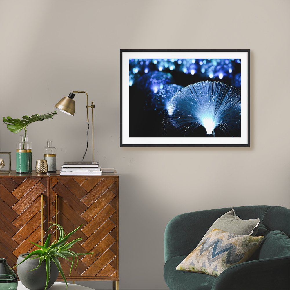 Midnight Gardens ARTROOM2.jpg