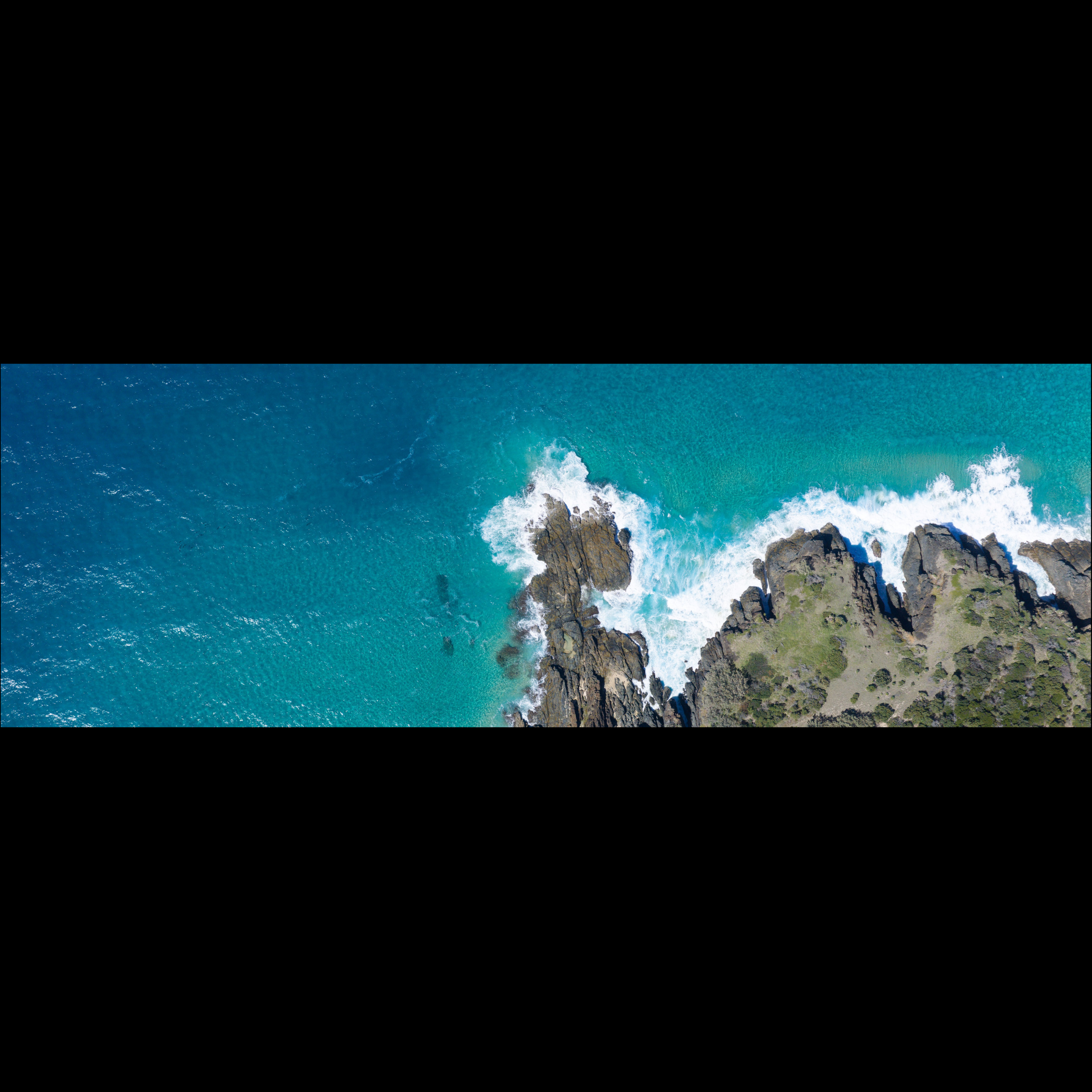 The Turquoise Kingdom SQUARE small.png