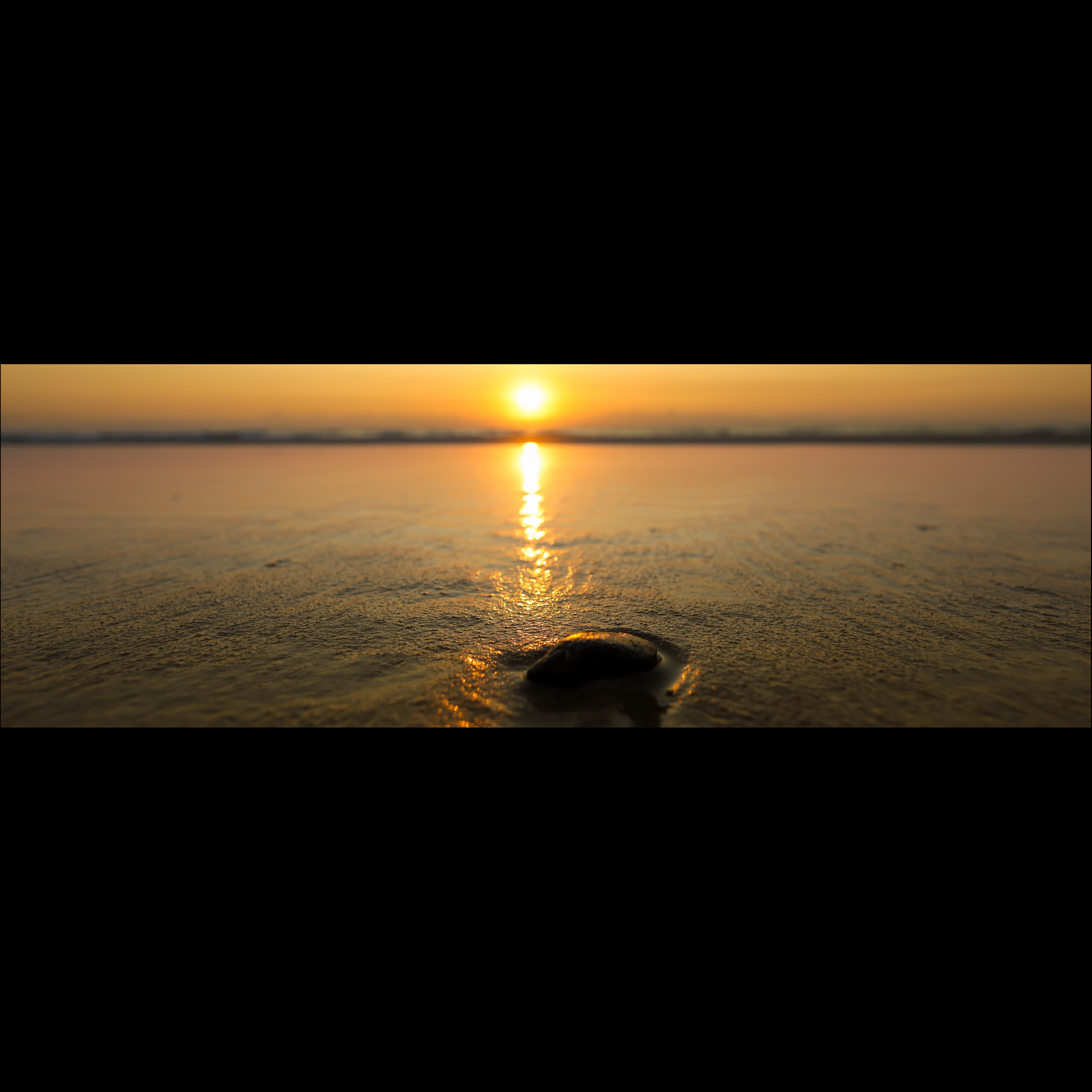Peregian Dawn Reflection SQUARE.png