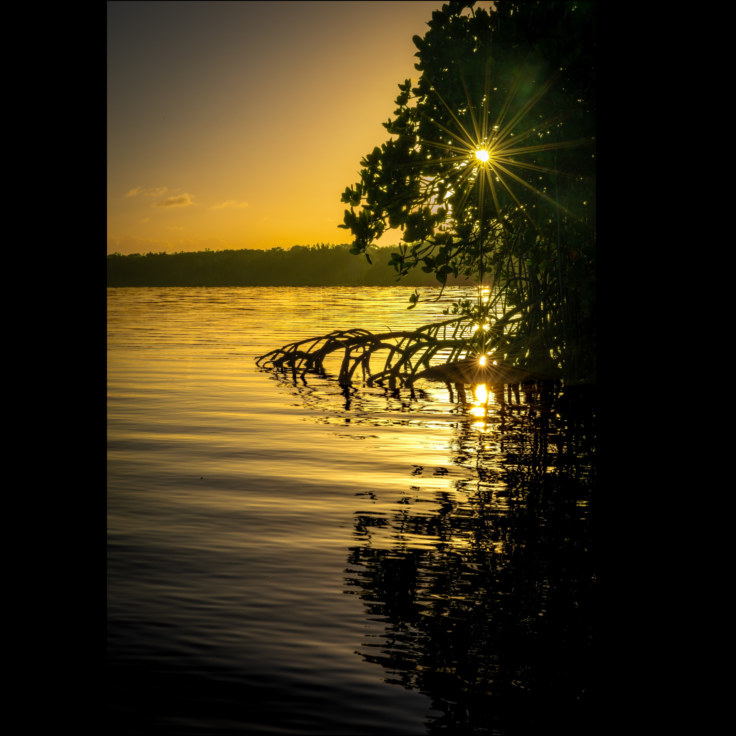 Sunburst at the Water’s Edge
