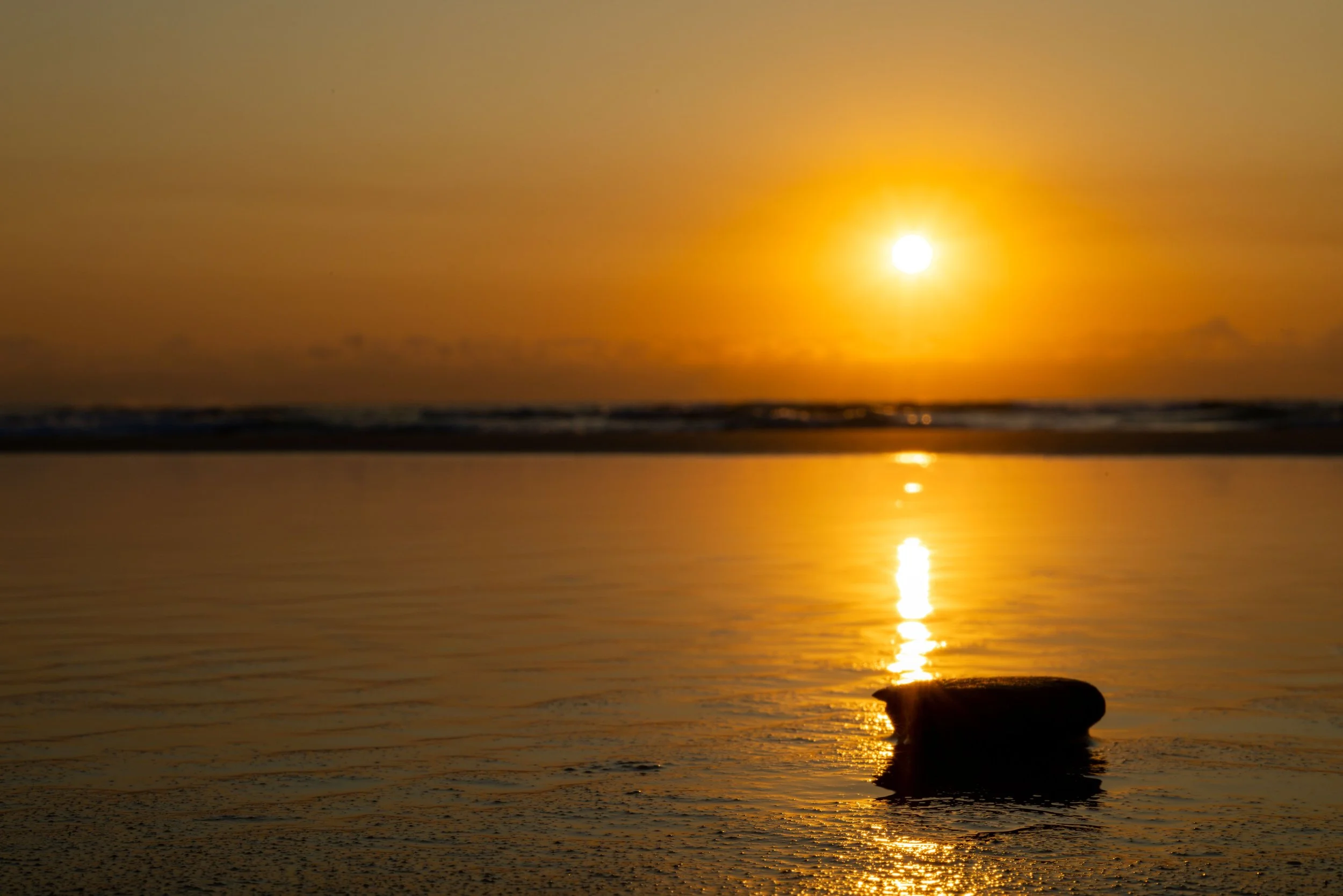 Dawn Mirror on the Sand SMALL.jpg