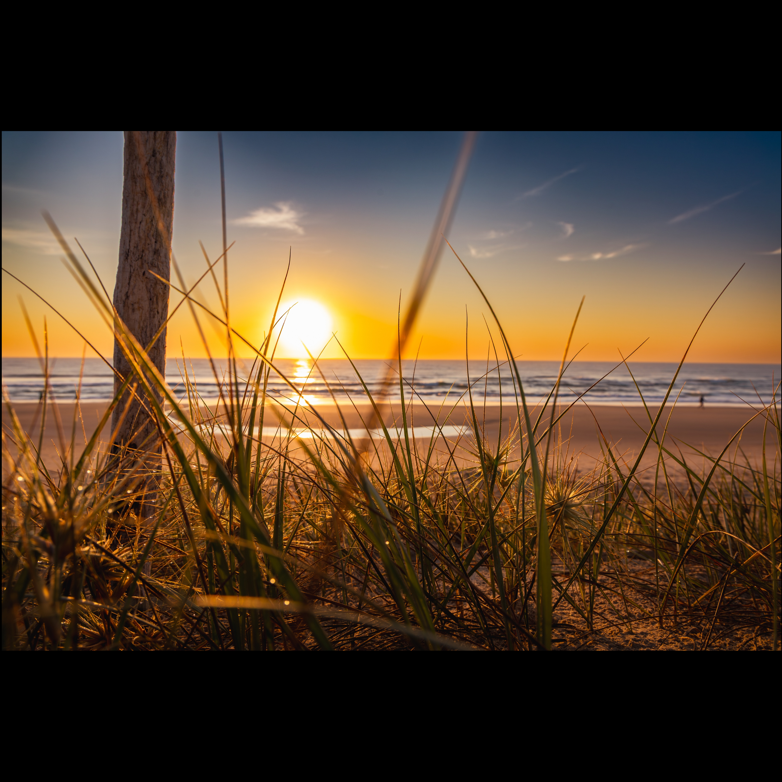 Peregian Dune Glow SQUARE2.png