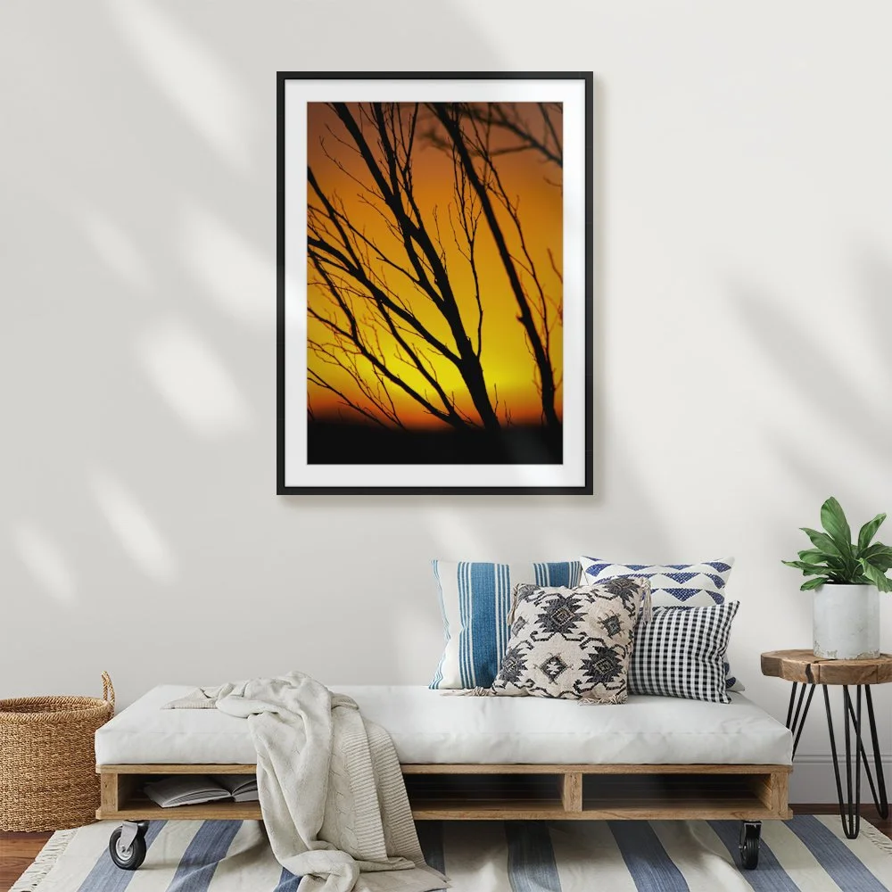 Evening in the Scrub ARTROOM4.jpg