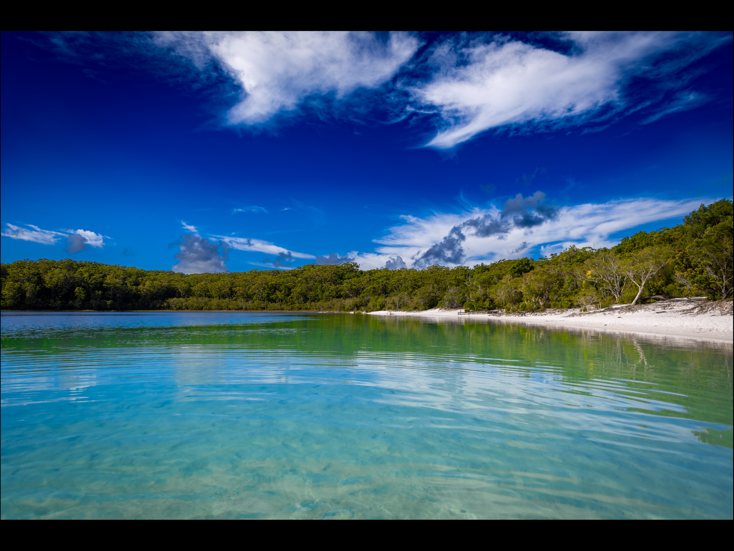 Whispers of Wilderness.png