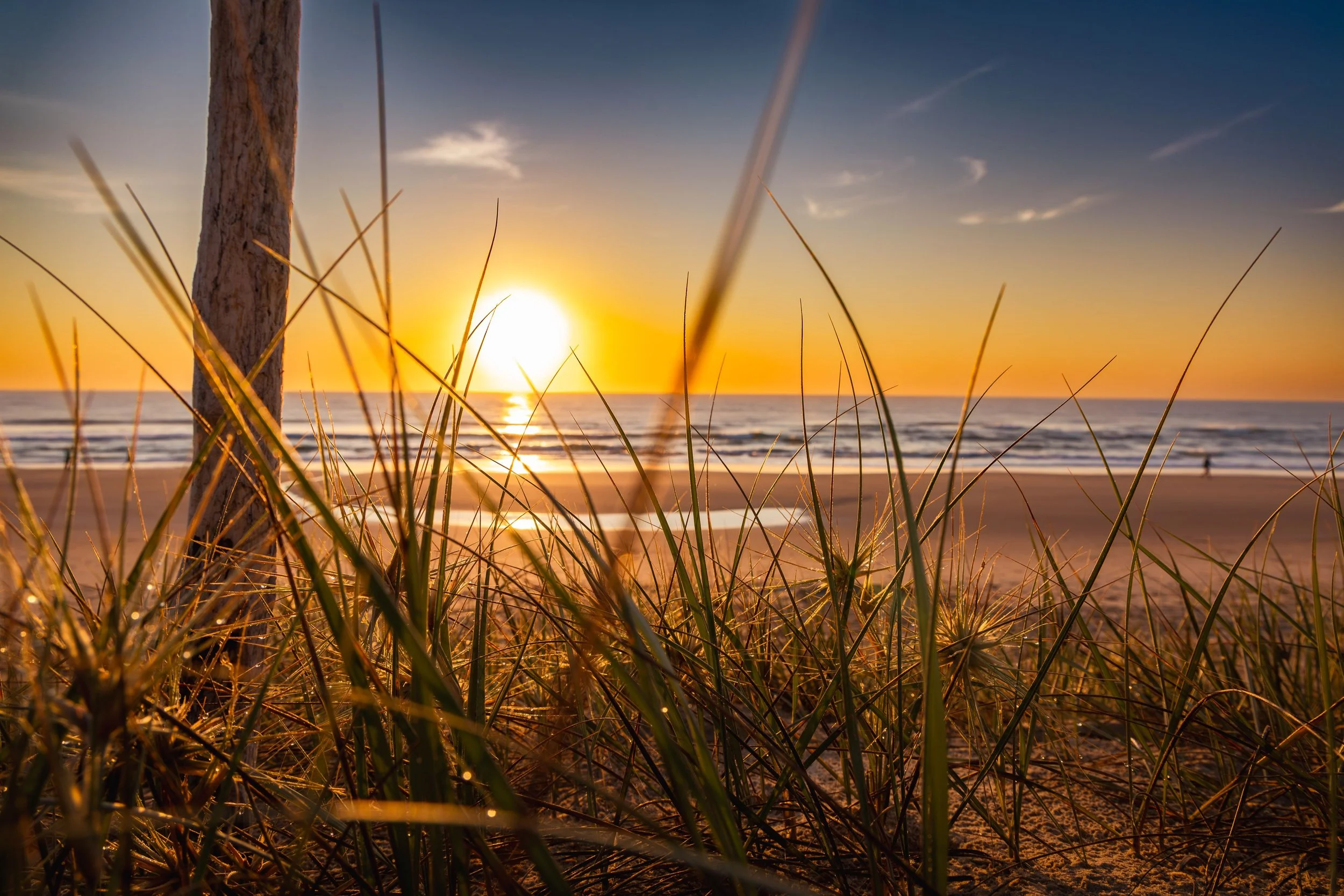 Peregian Dune Glow  SMALL.jpg