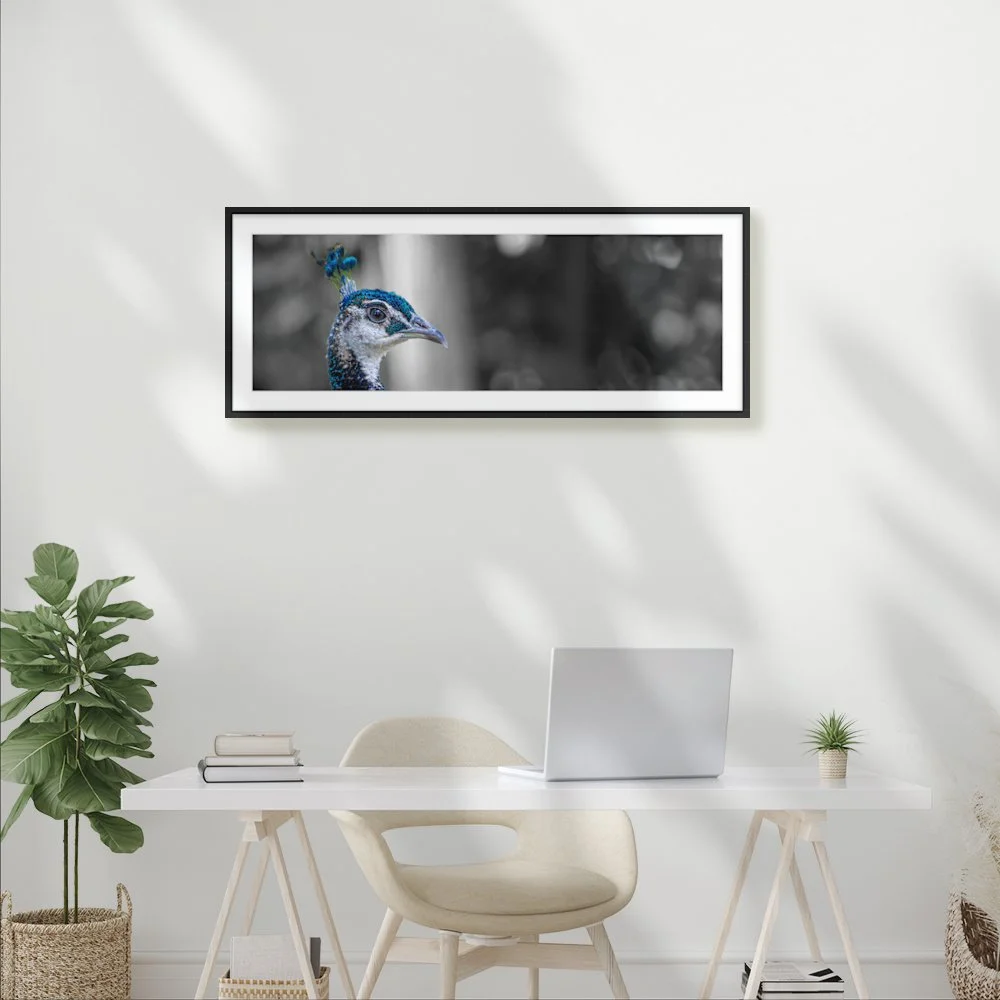 Crowned in Colour Artroom 3.jpg