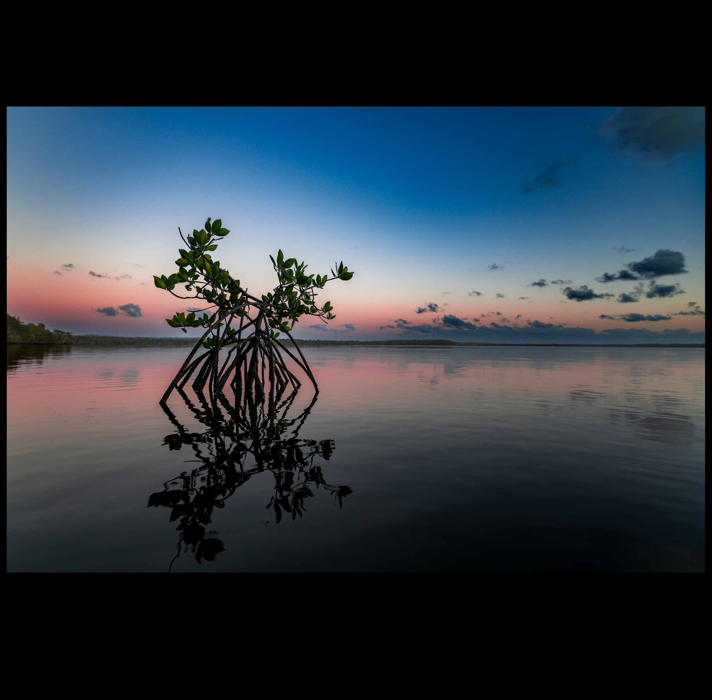 Queensland Calm, New Day Rising