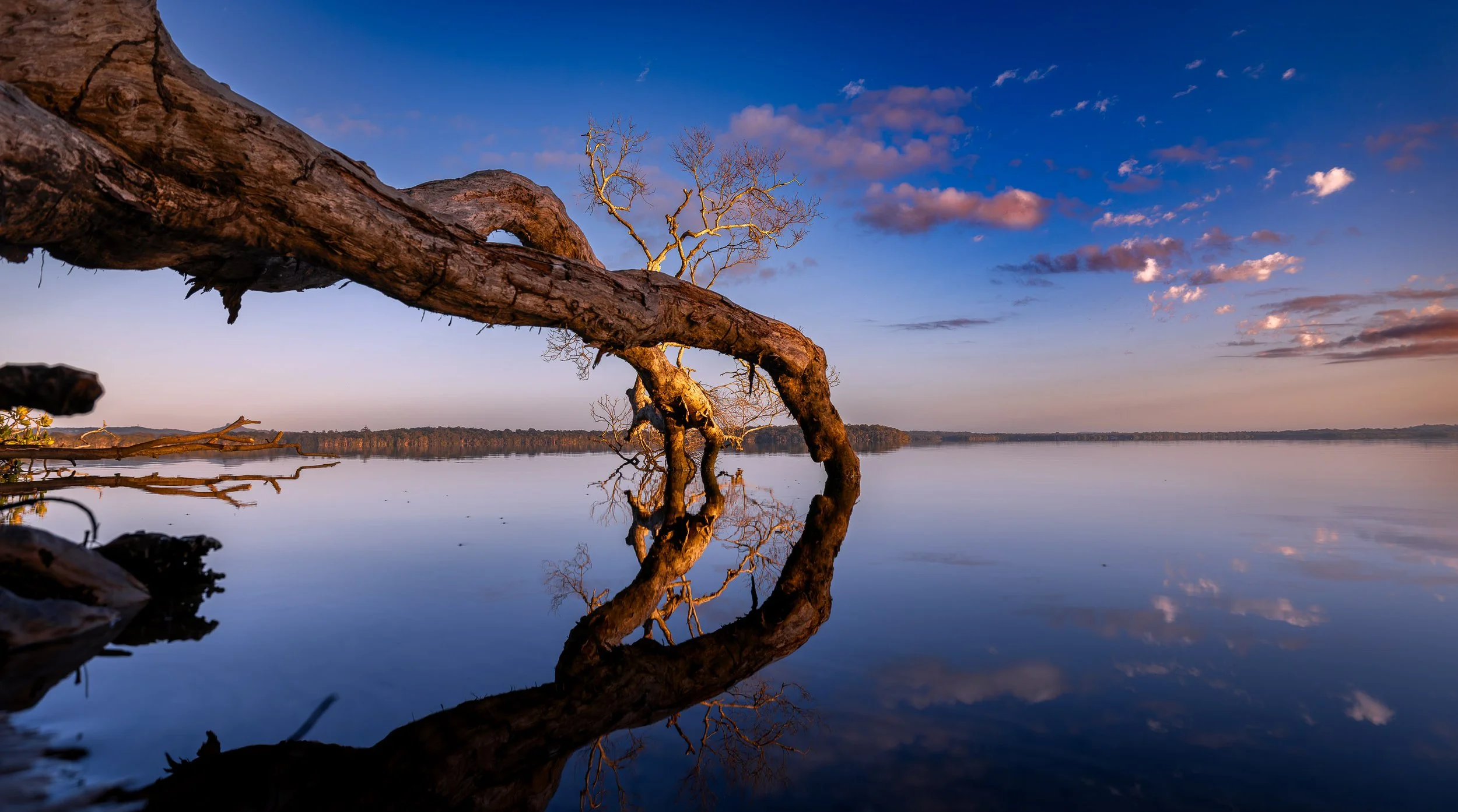 Circles of Stillness