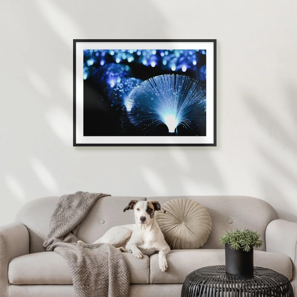 Midnight Gardens ARTROOM3.jpg