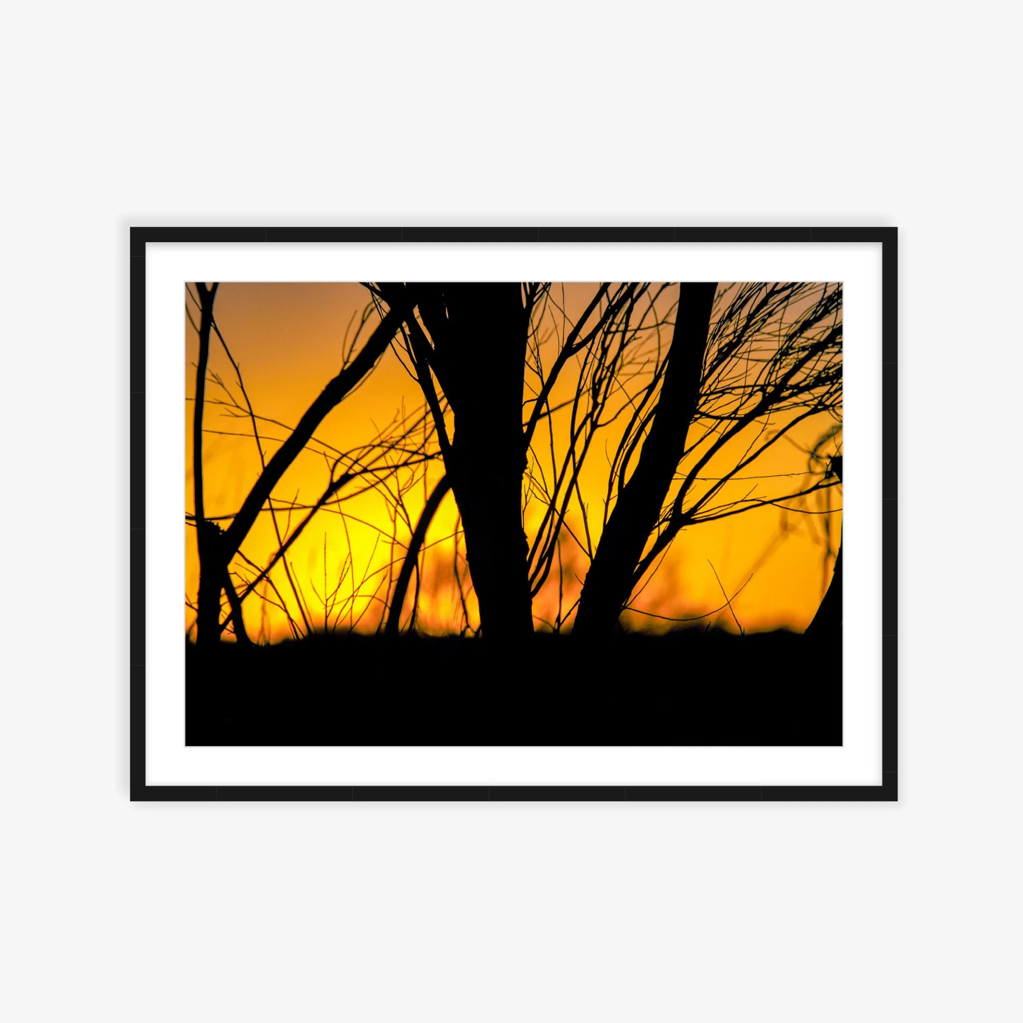 Queensland Afterglow ARTROOM.jpg