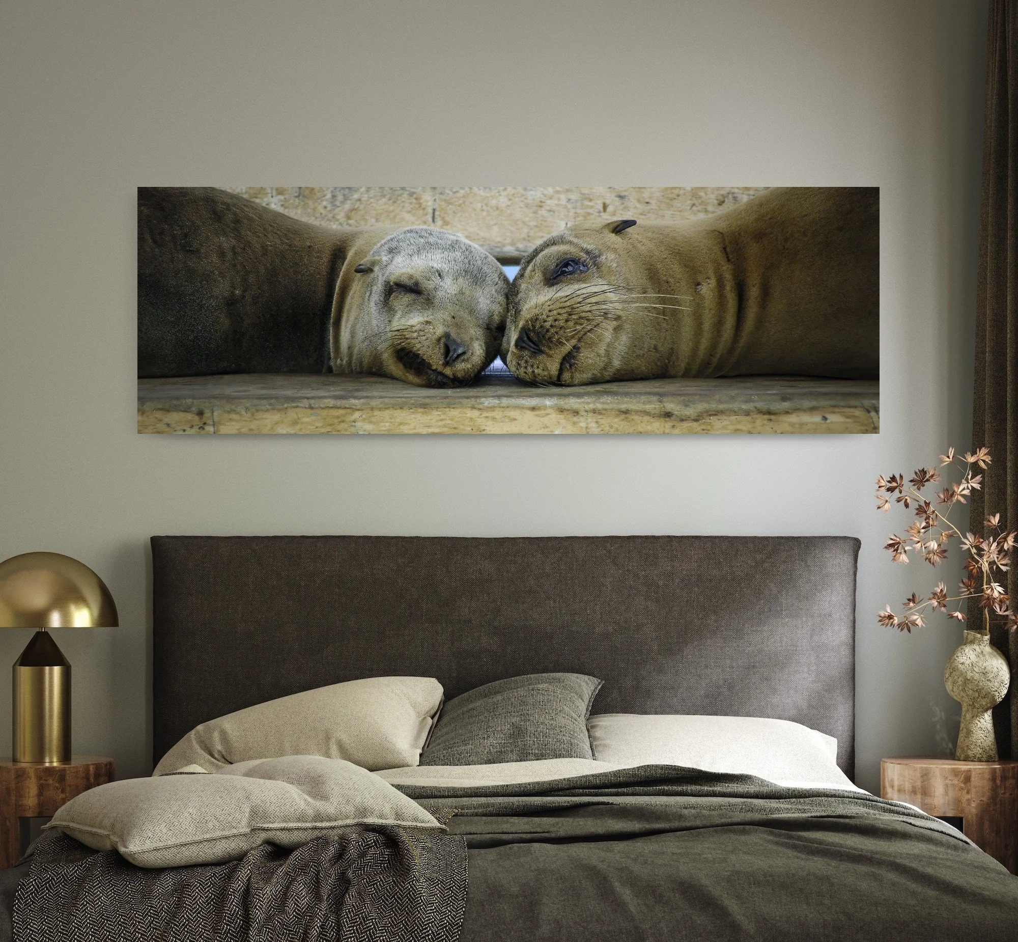 Snooze Buddies Forever artroom 1.jpg