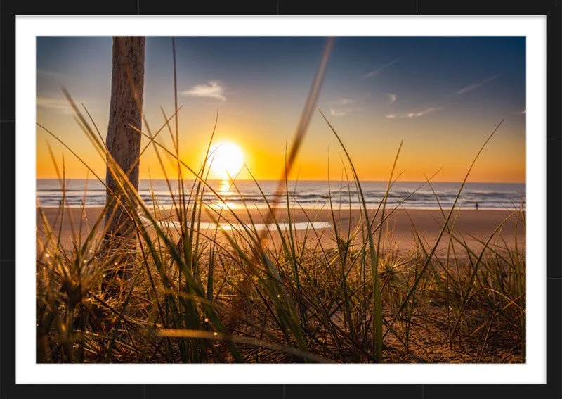 Peregian Dune Glow FRAMED.jpg