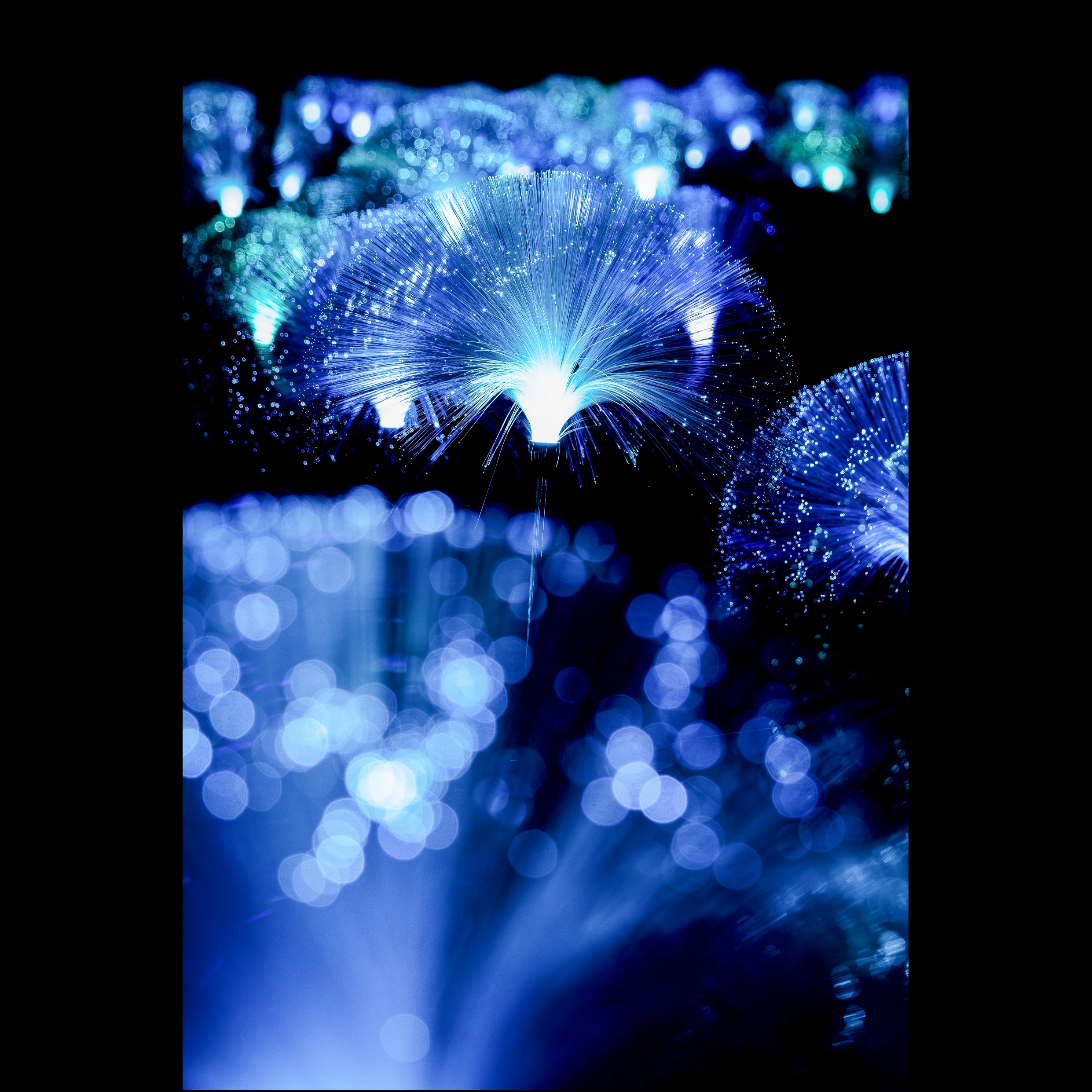 Waves of Light