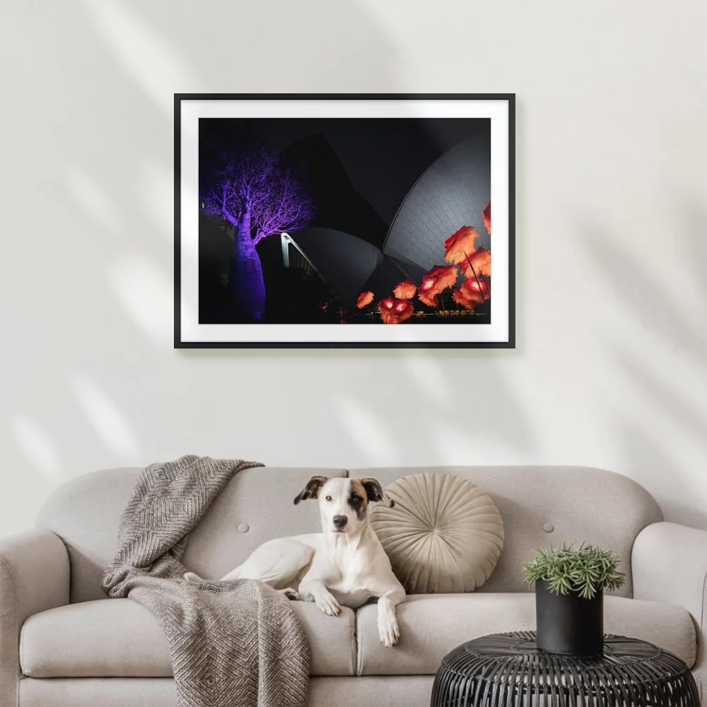Harbour Dreams ARTROOM5.jpg