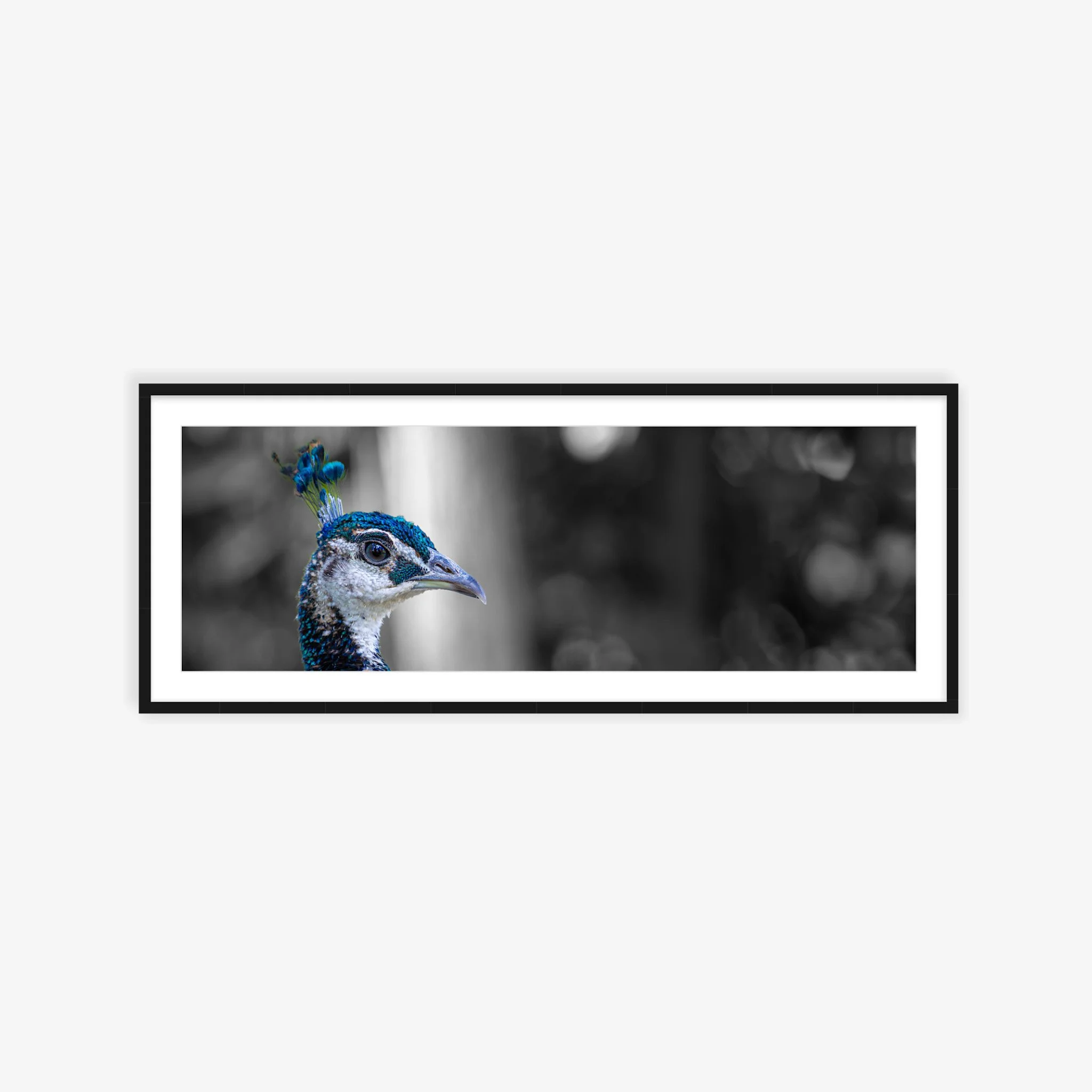 Crowned in Colour Artroom 2.jpg