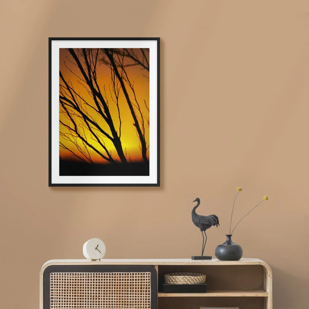 Evening in the Scrub ARTROOM2.jpg