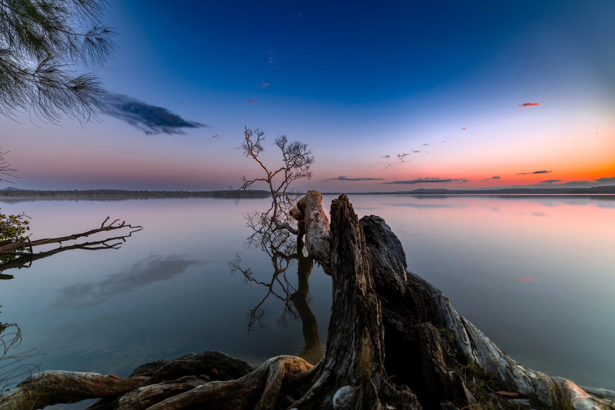 Echoes on Still Water