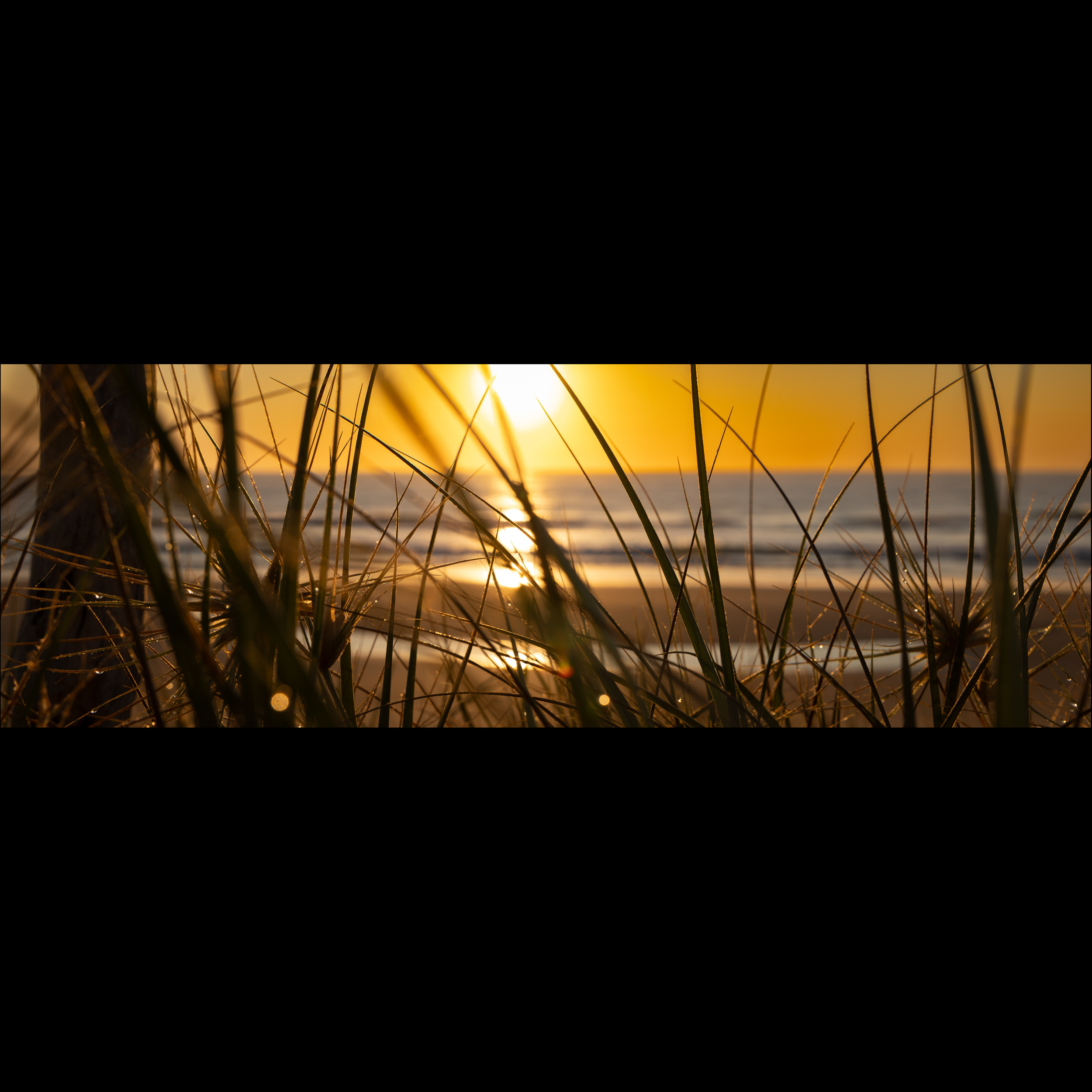 Sunrise in the Dunes SQUARE.png