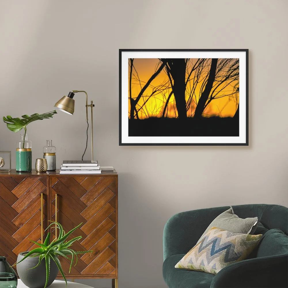 Queensland Afterglow ARTROOM2.jpg