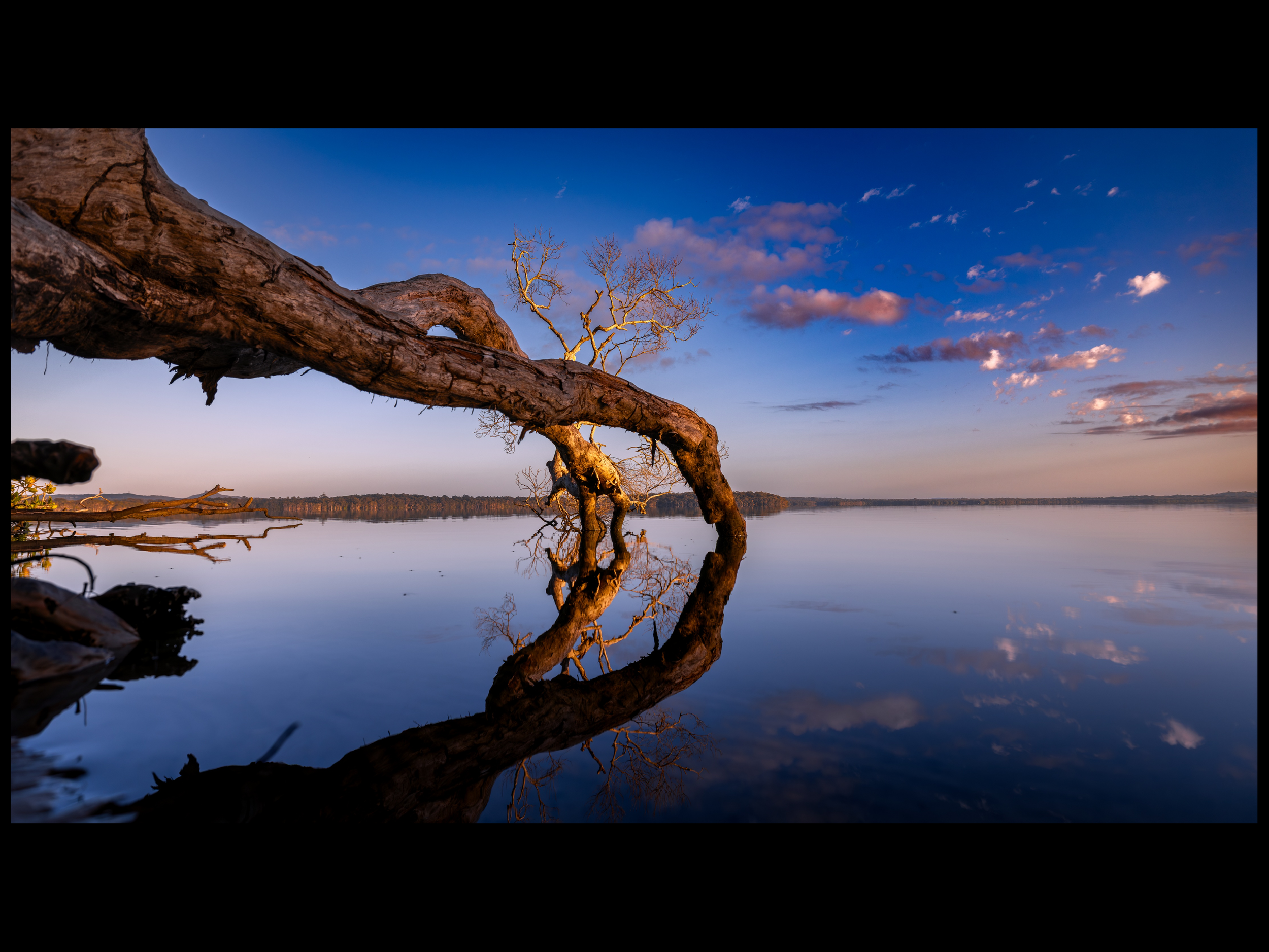 Circles of Stillness