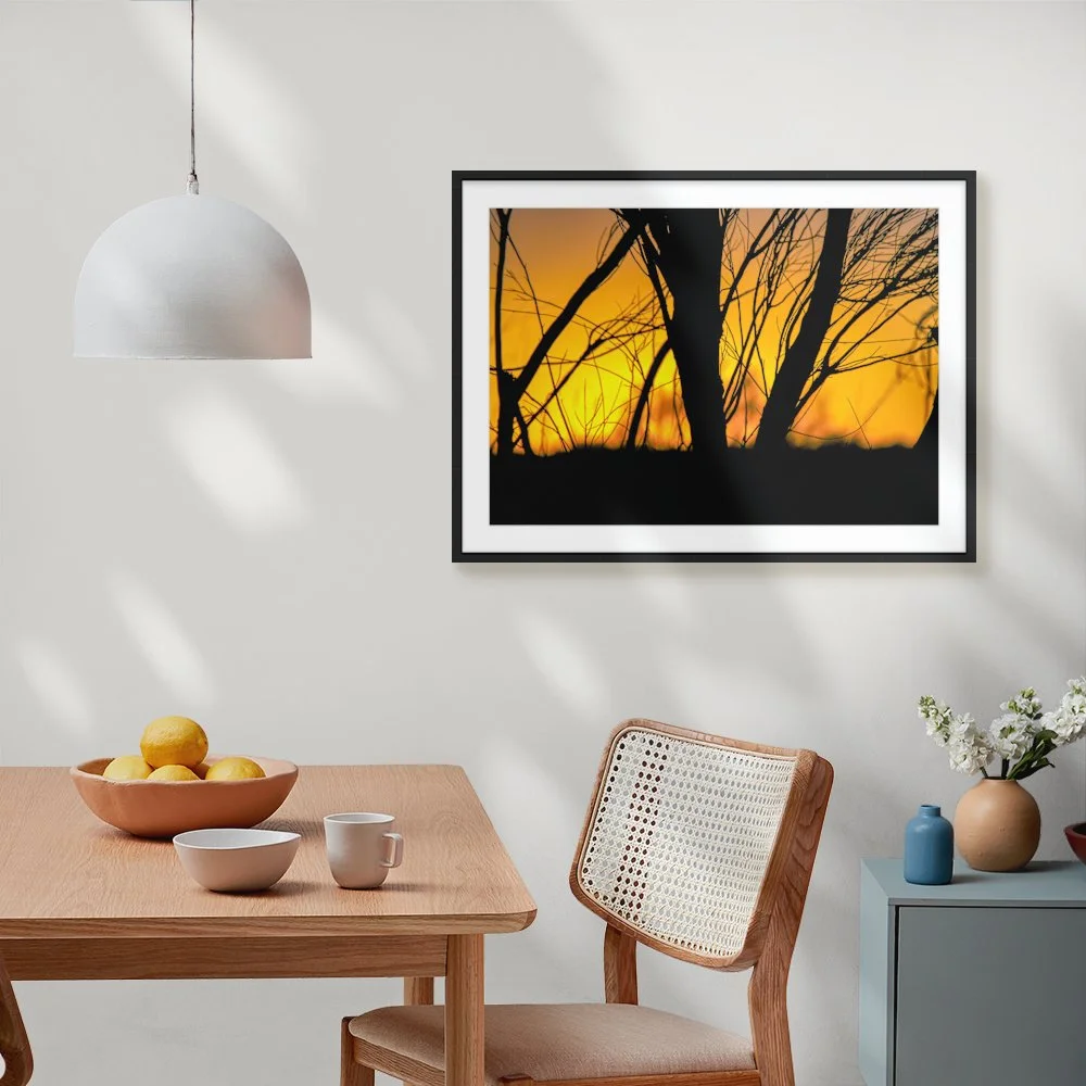 Queensland Afterglow ARTROOM3.jpg