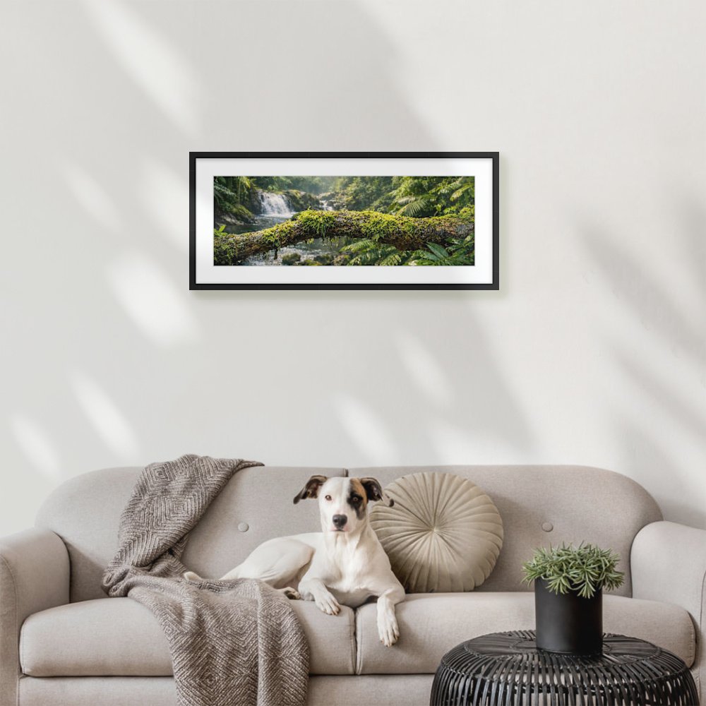 daintree-3-of-1_753-x-260mm_50mm_zeppelin-slim_interior-dog-on-sofa.jpg