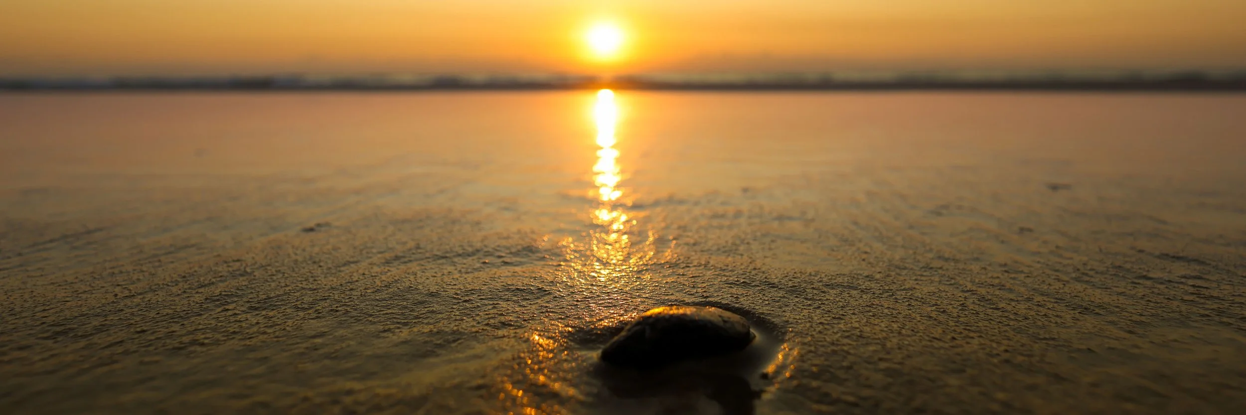 Peregian Dawn Reflection SMALL.jpg