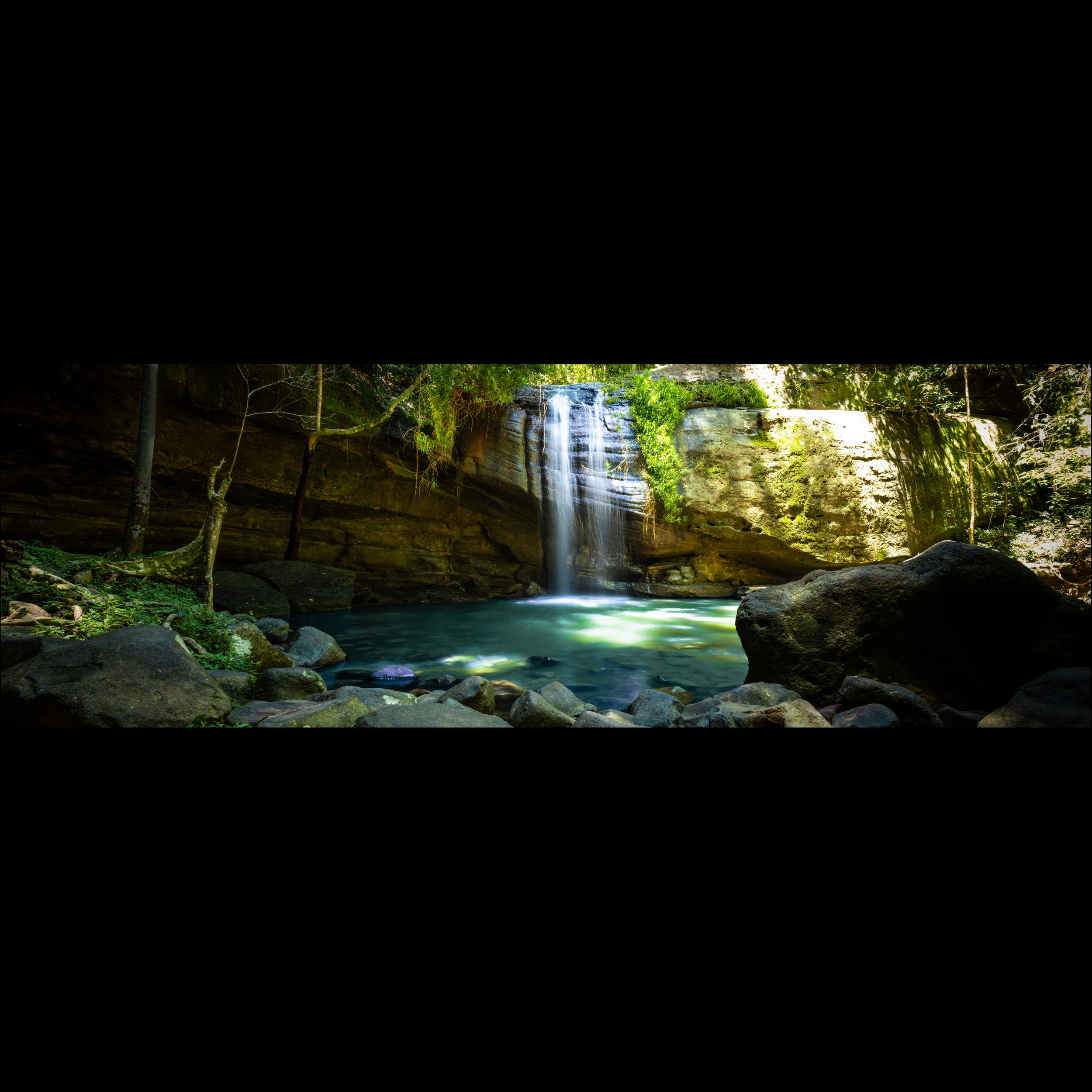 Bush Cascade (Panoramic)