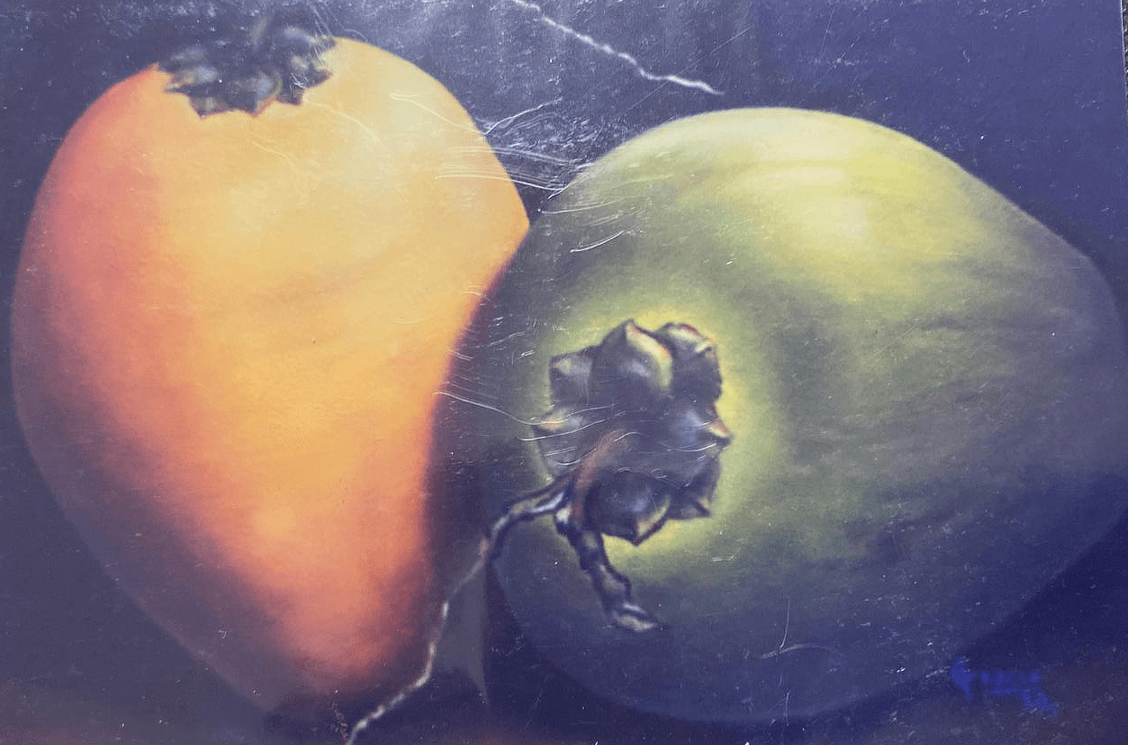 Still life with Coconuts, ( private collection)