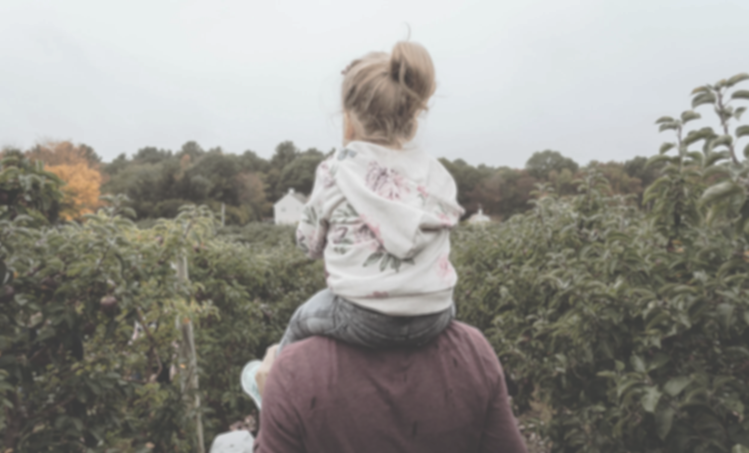 A person with long hair in a bun carrying a child on their shoulders, hiking through a lush outdoor area with dense greenery and trees in the background.