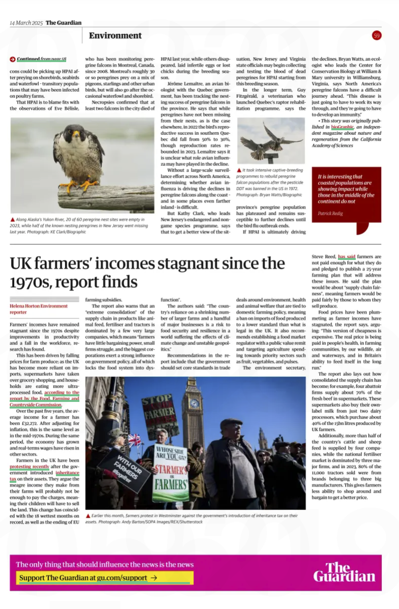 2025_03_14_The_Guardian_America