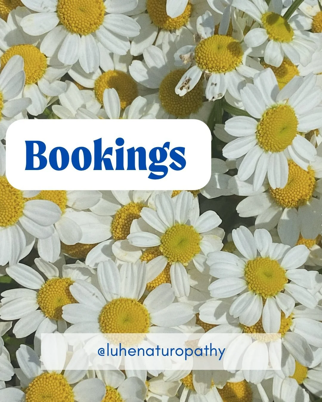 How to book with Luhe 💫
