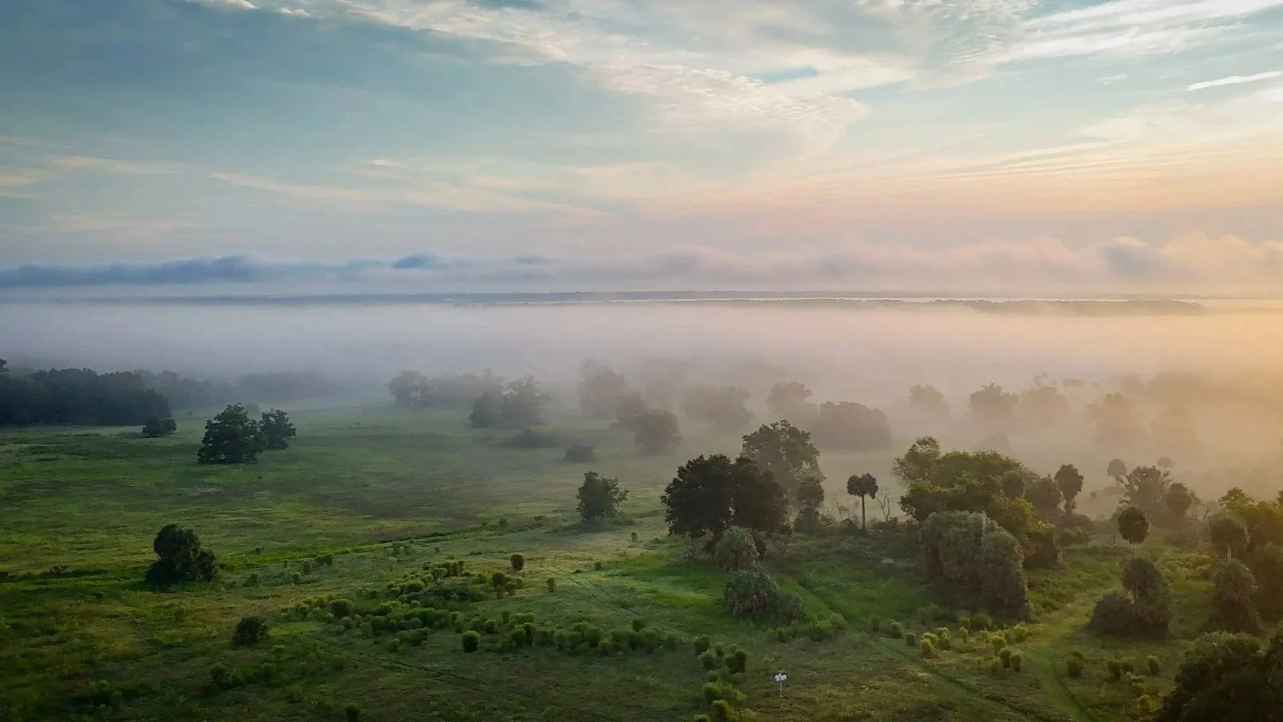 Conservation Photography