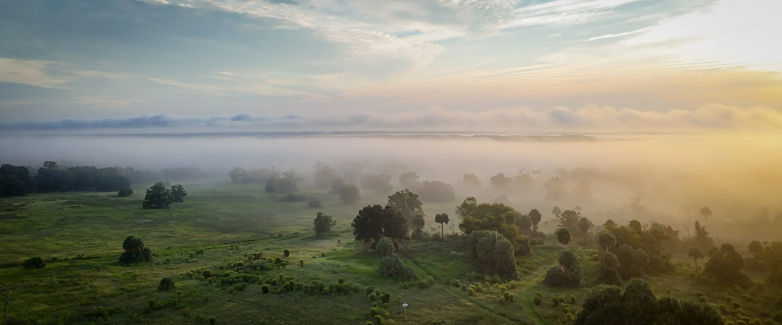 A scenic view of a lush green landscape with scattered trees, fog in the middle distance, and a colorful sky with clouds at sunrise or sunset.
