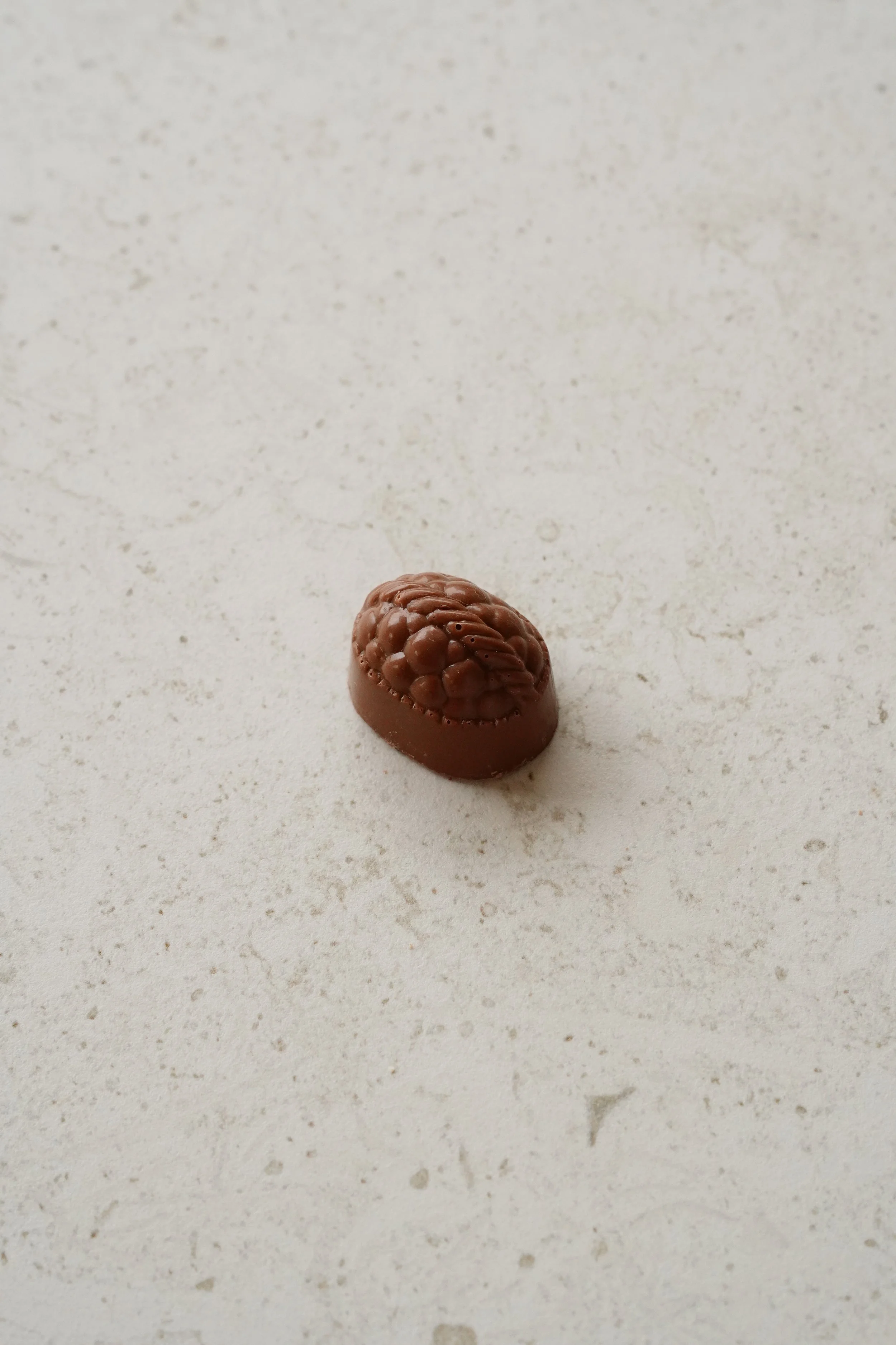 Het Chocoladehuis