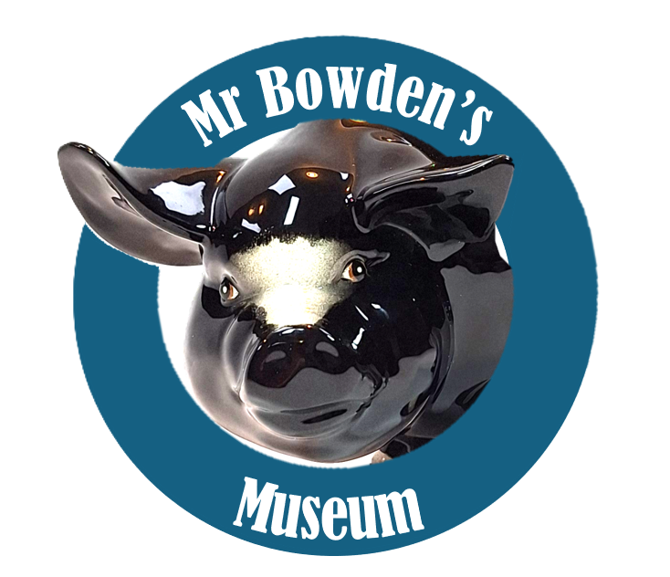 Mr Bowden's Museum