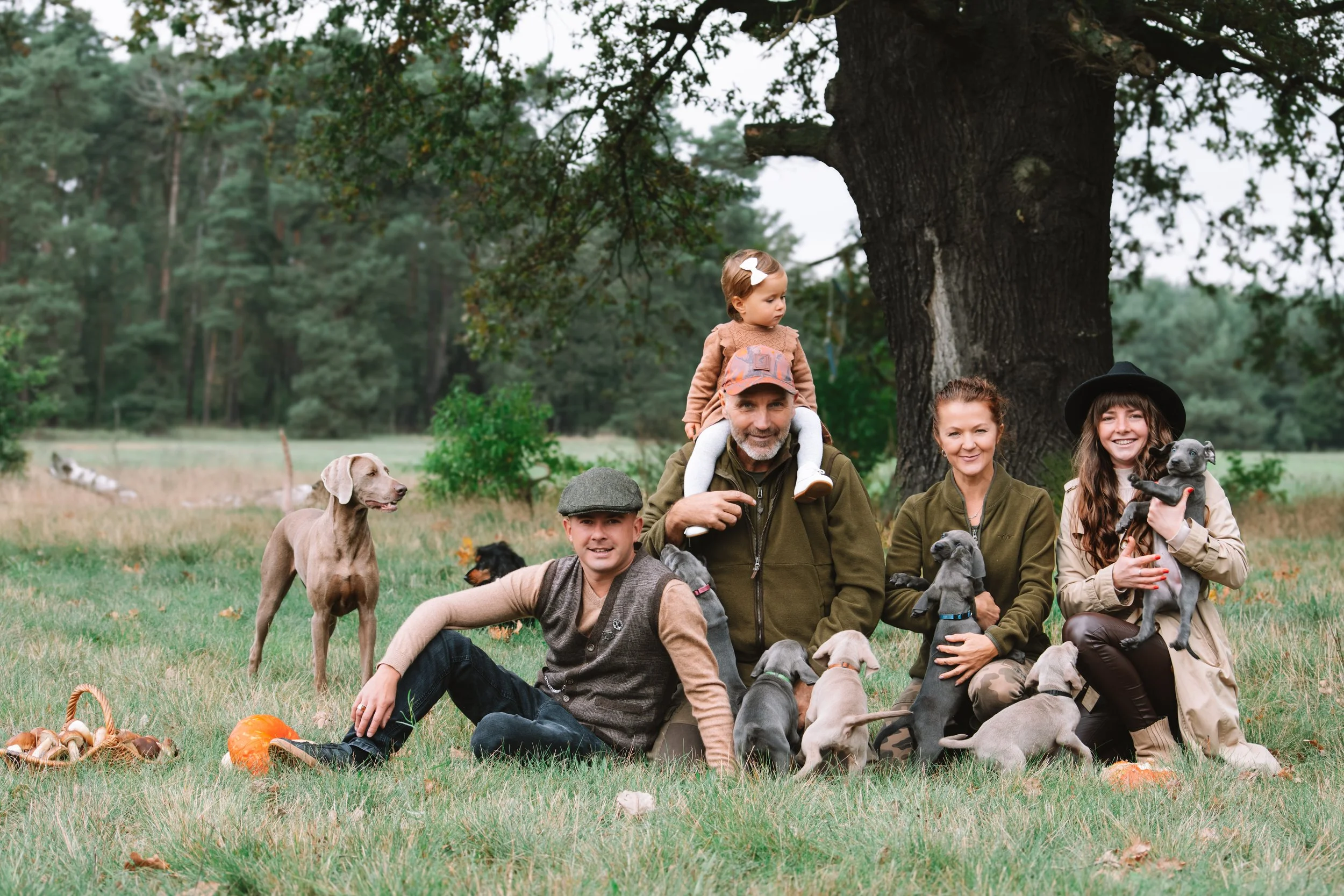 Familie mit mehreren Hunden sitzt und spielt im Grünen unter einem Baum.